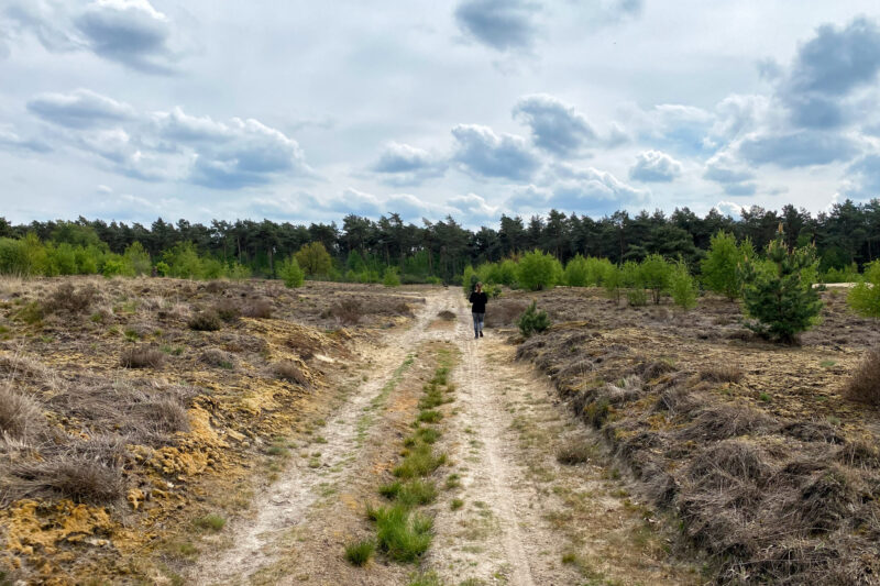 Wandeling: Oirschotse Heide