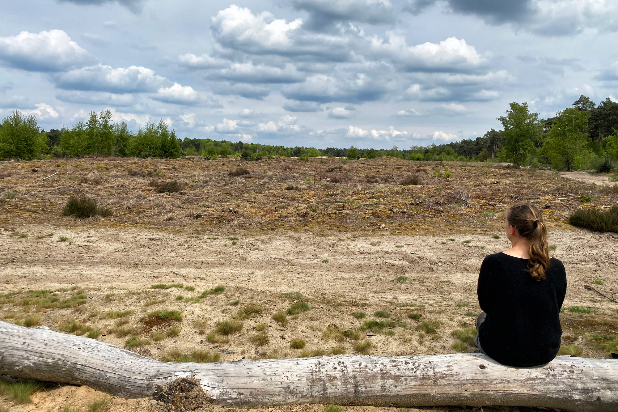 Wandeling: Oirschotse Heide