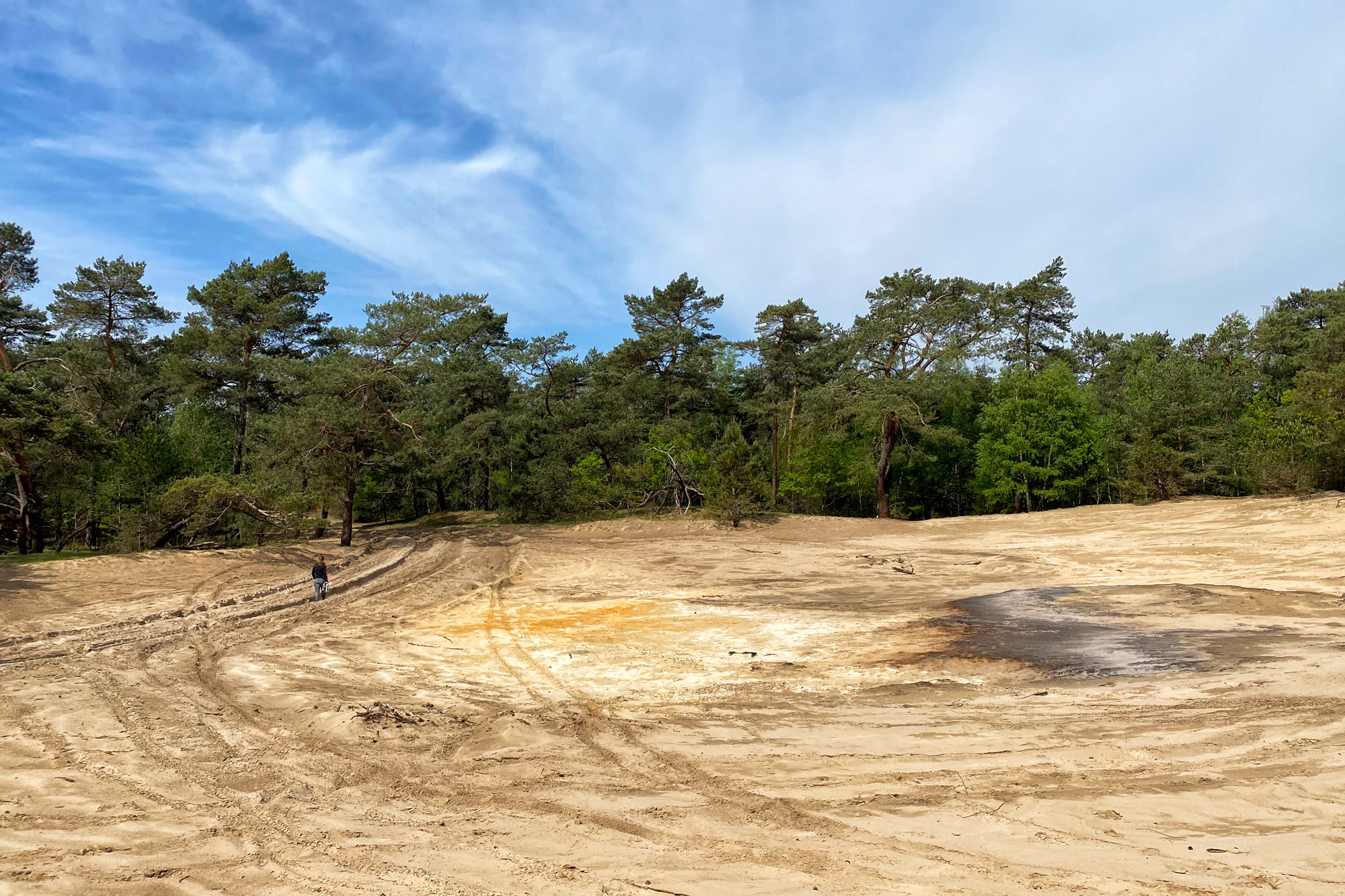 Wandeling: Oirschotse Heide