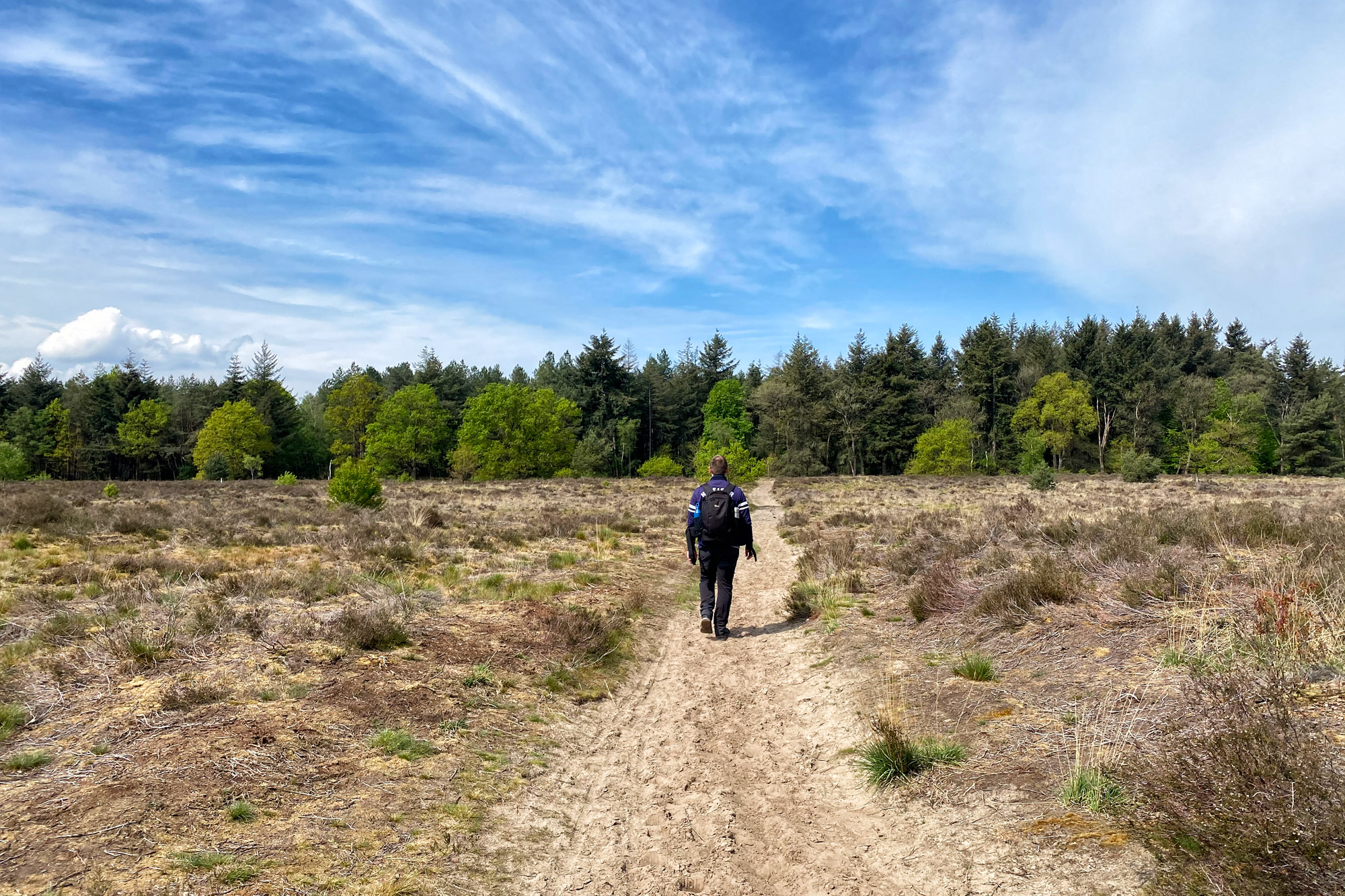 Wandeling: Oirschotse Heide