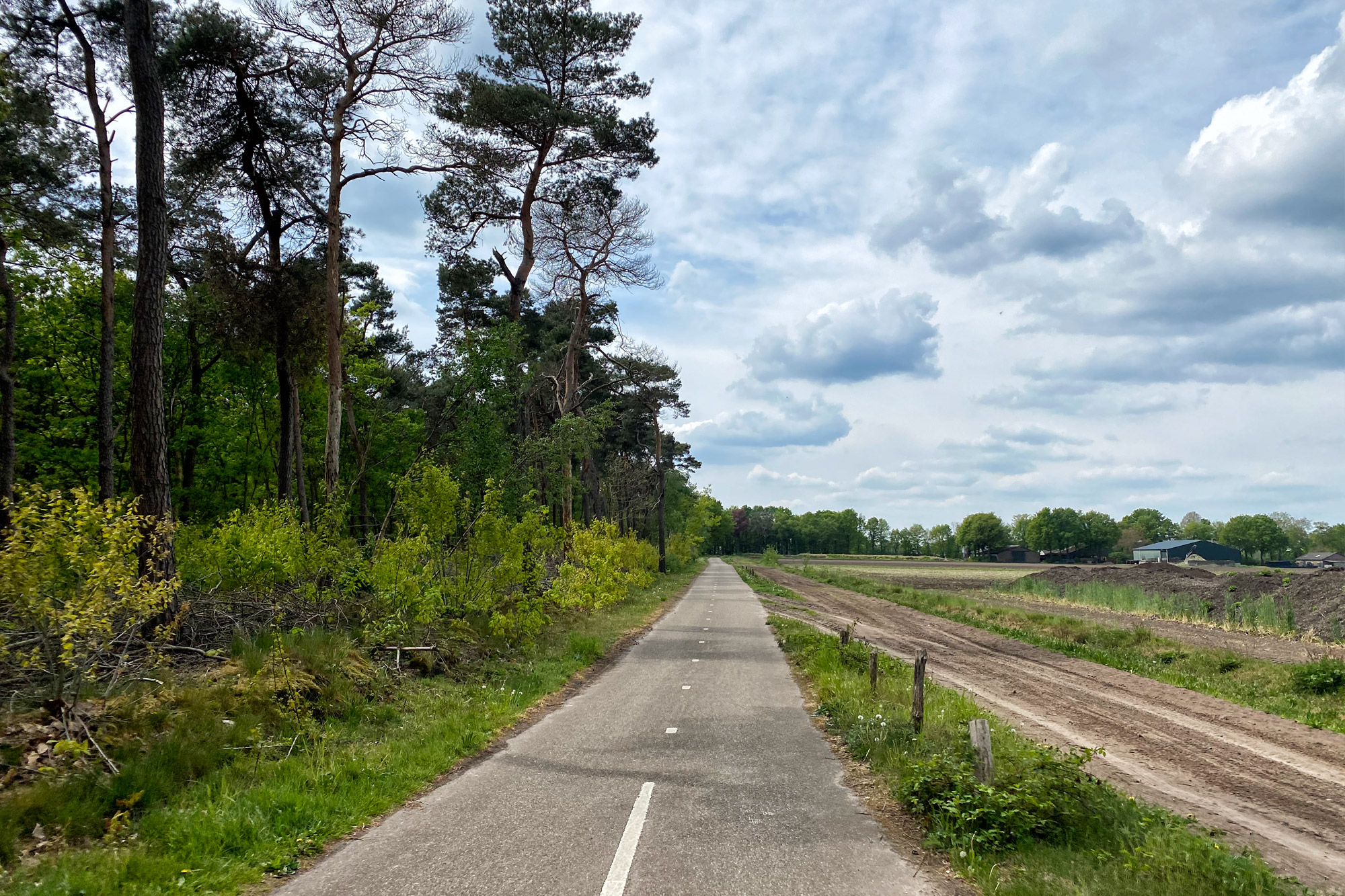 Wandeling: Oirschotse Heide