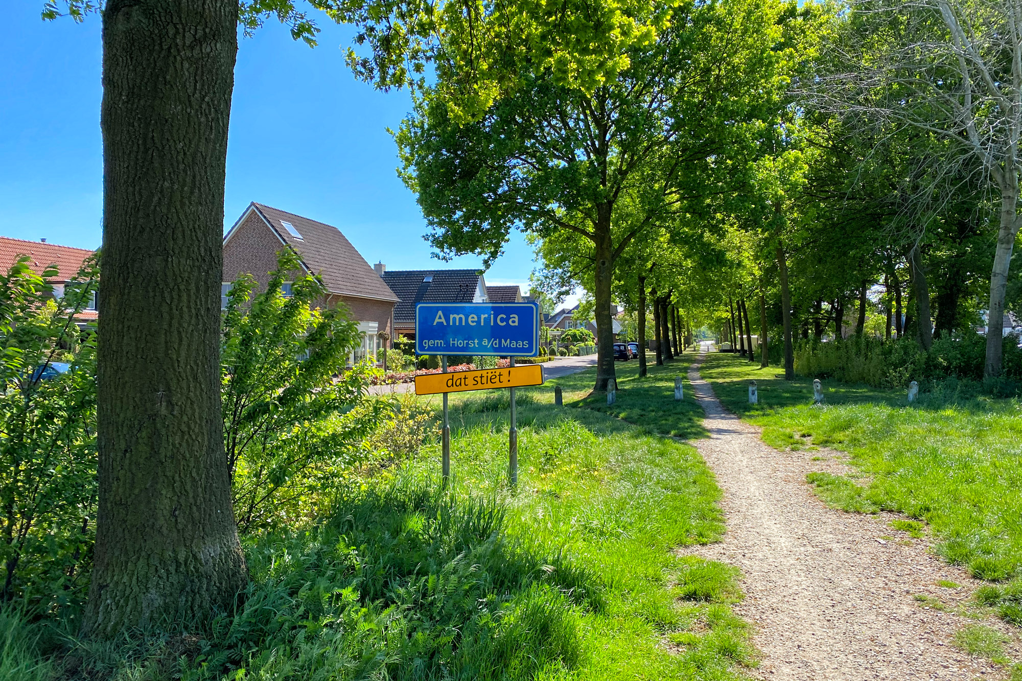 Wandeling: Schadijkse Bossen