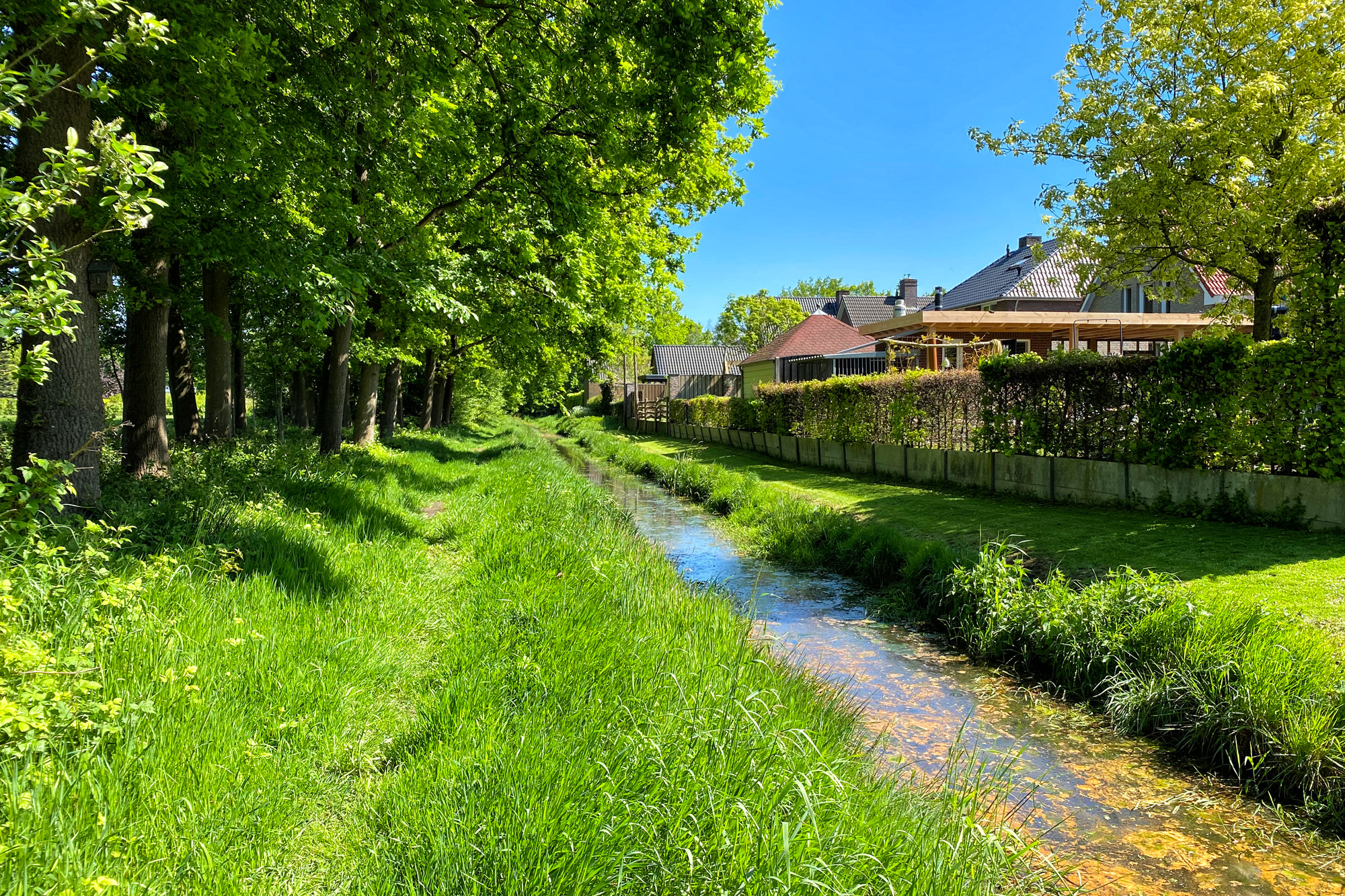 Wandeling: Schadijkse Bossen