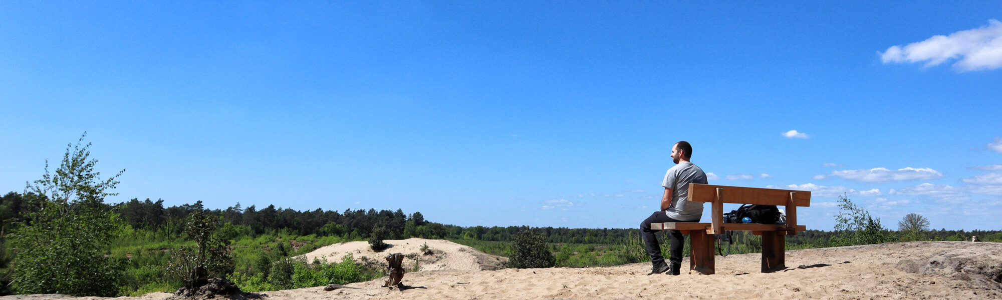 Wandeling: Schadijkse Bossen