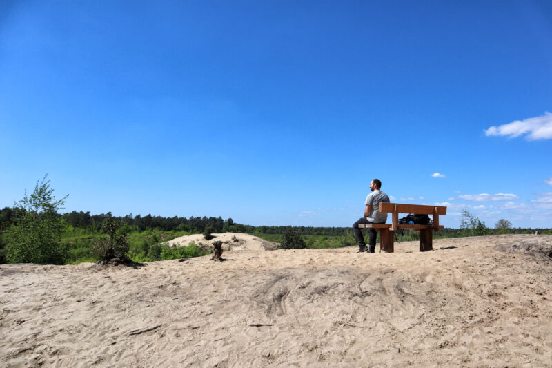 Wandeling: Schadijkse Bossen