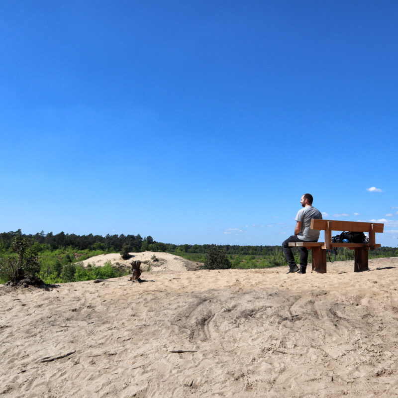Wandeling: Schadijkse Bossen