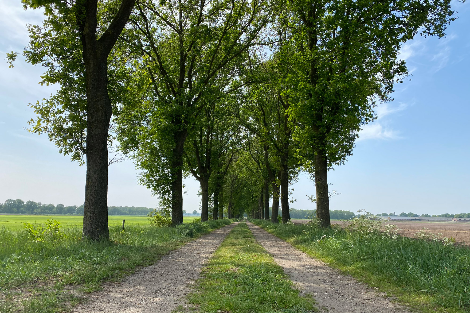 Wandelen: Vossenberg route