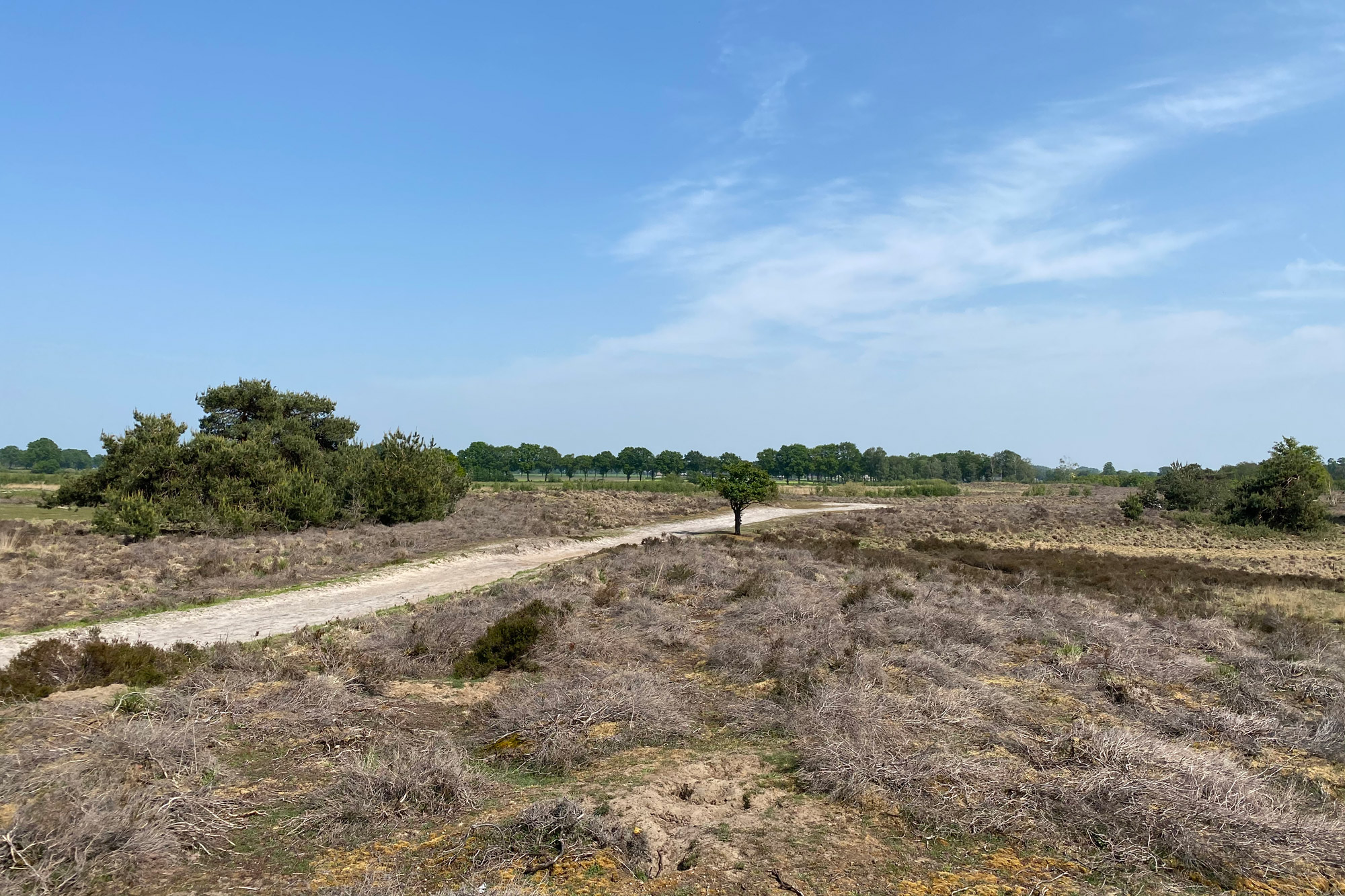 Wandelen: Vossenberg route