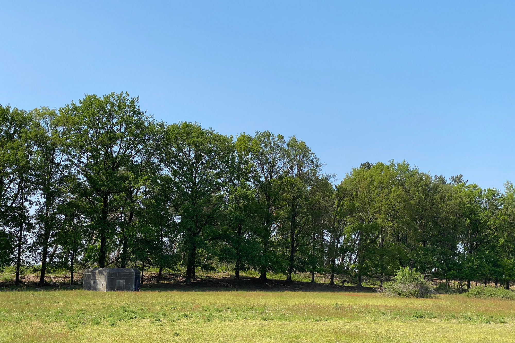 Wandelen: Vossenberg route