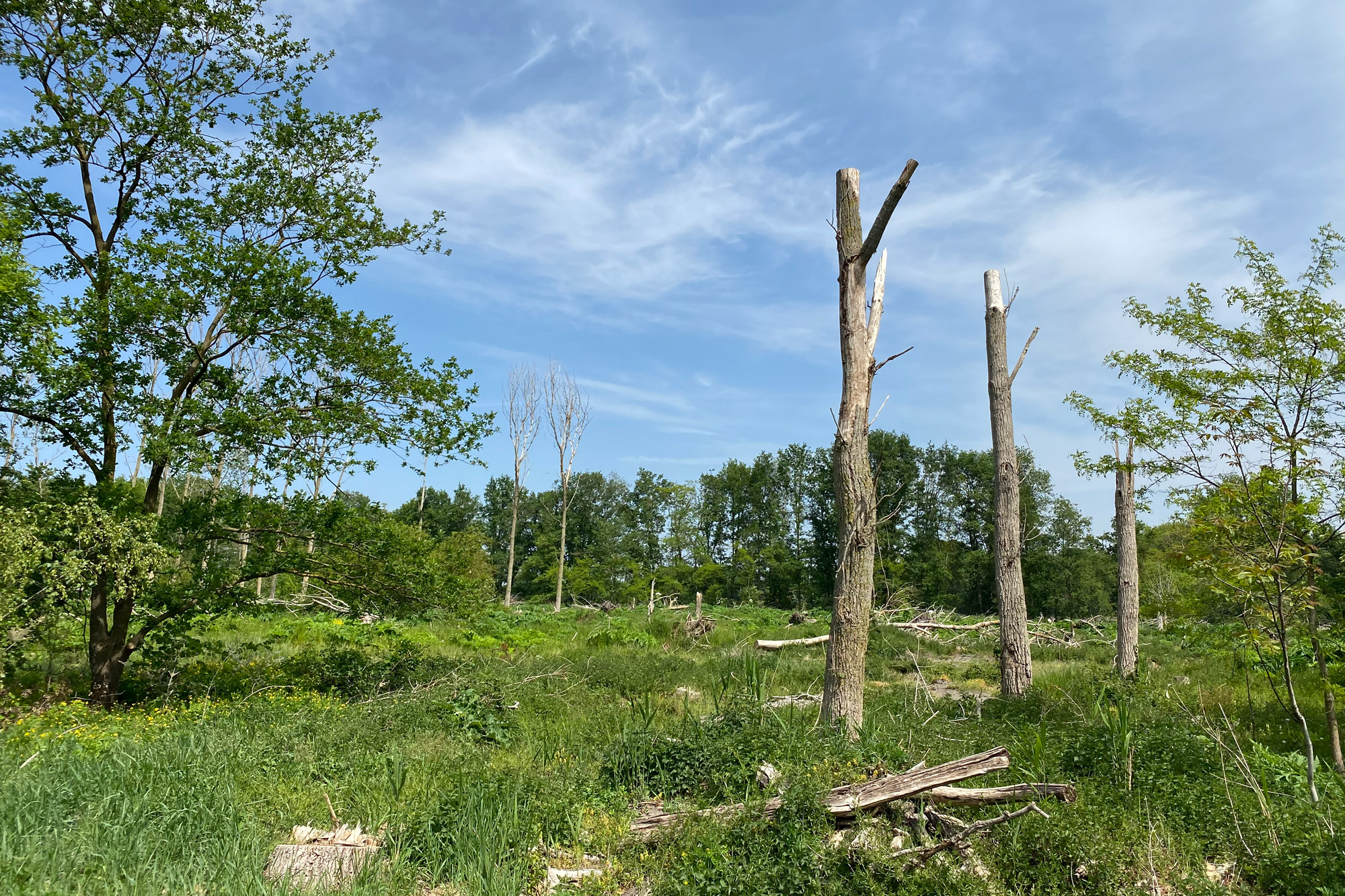 Wandelen: Vossenberg route