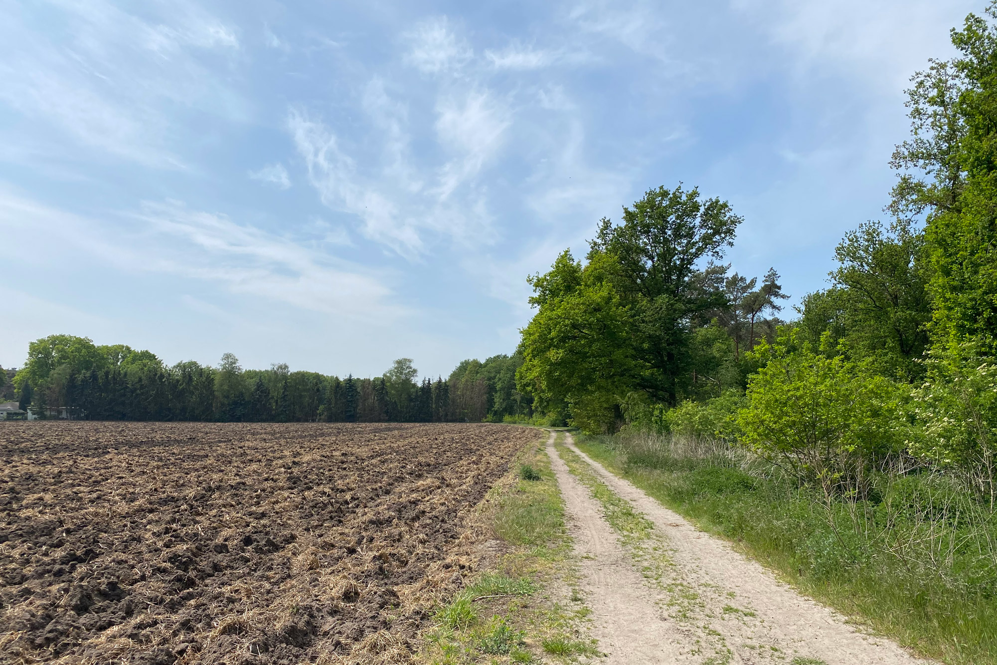 Wandelen: Vossenberg route