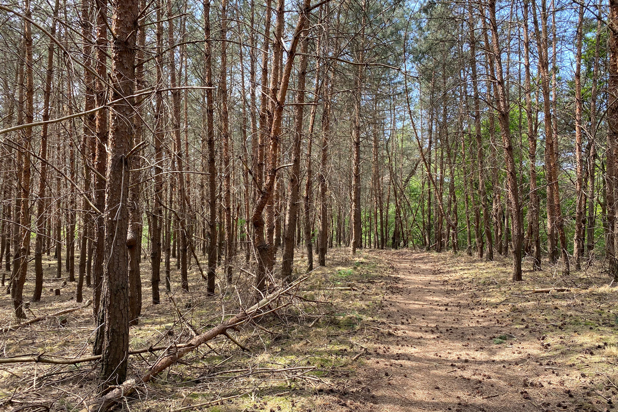 Wandelen: Vossenberg route