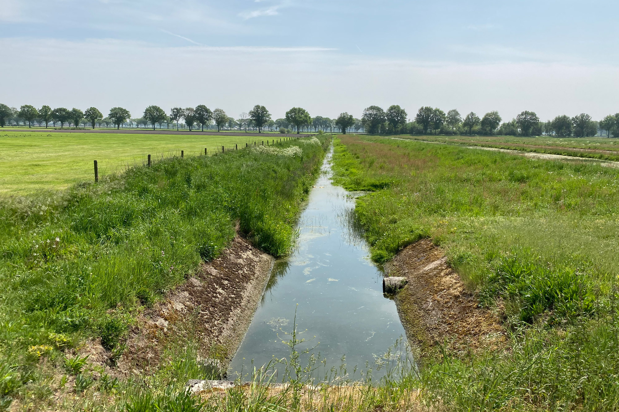 Wandelen: Vossenberg route