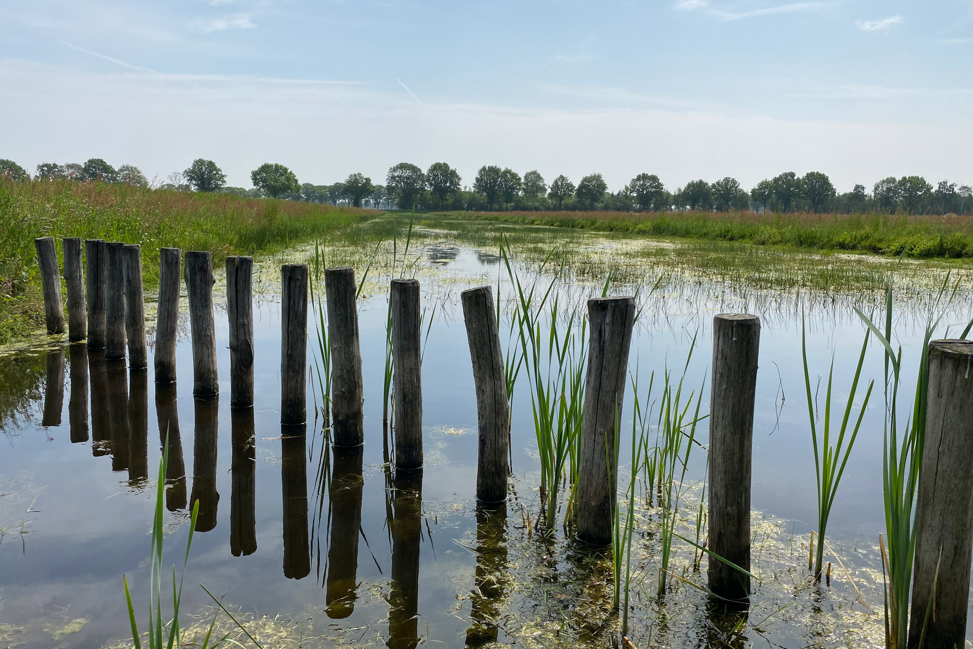 Wandelen: Vossenberg route