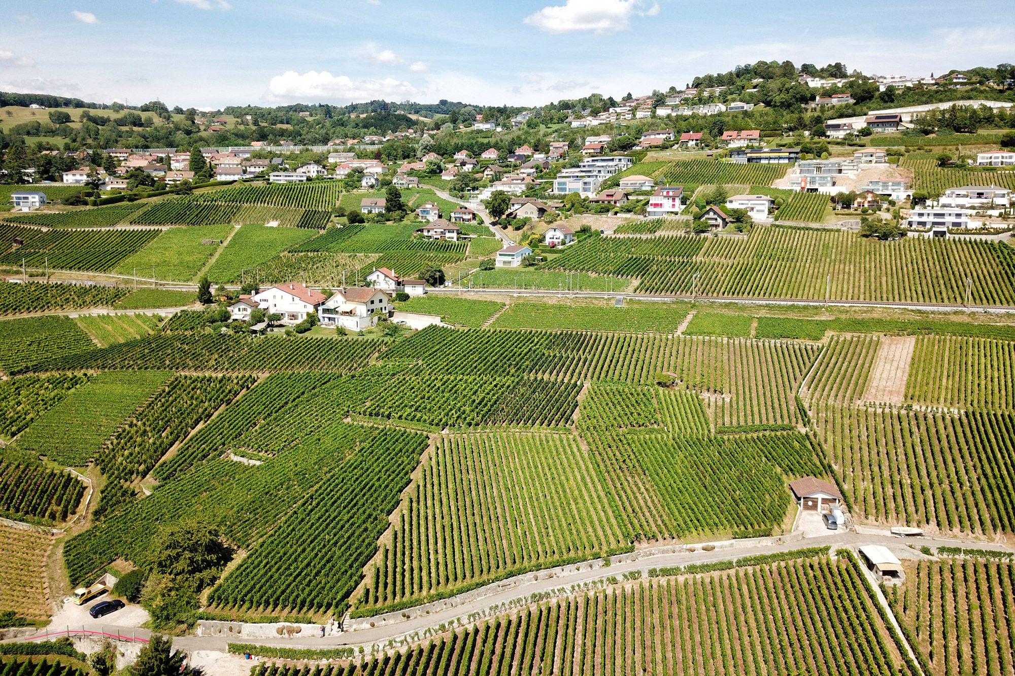 Wijngaarden van Lavaux - Zwitserland