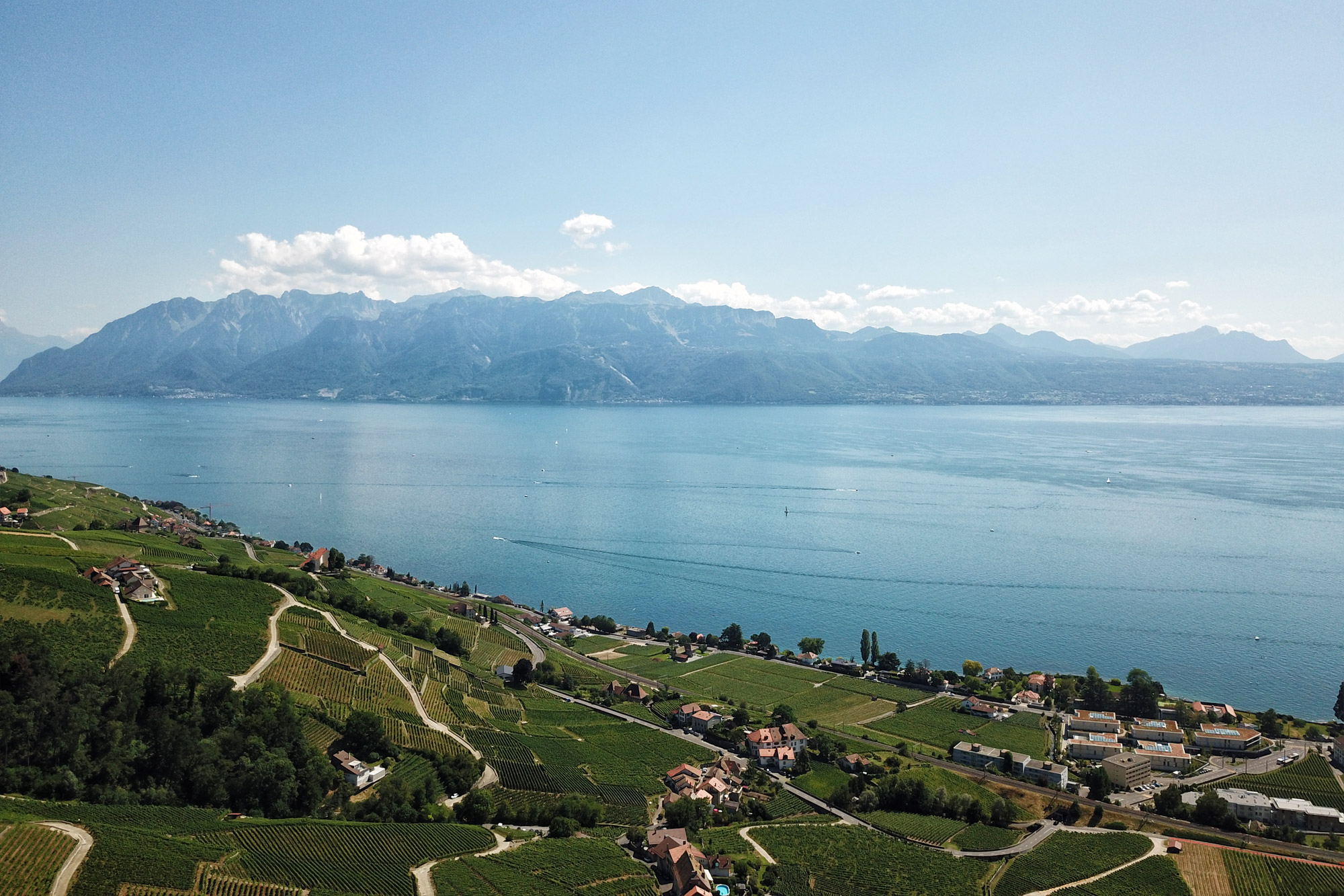 Wijngaarden van Lavaux - Zwitserland