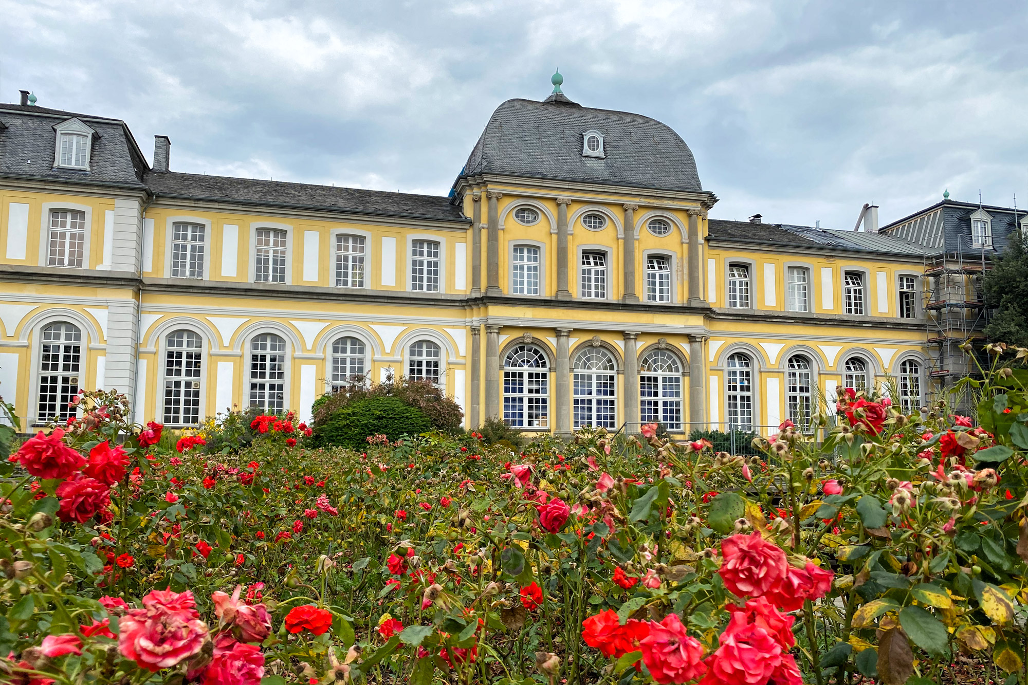 Foto van de maand: Augustus 2020 - Bonn, Duitsland