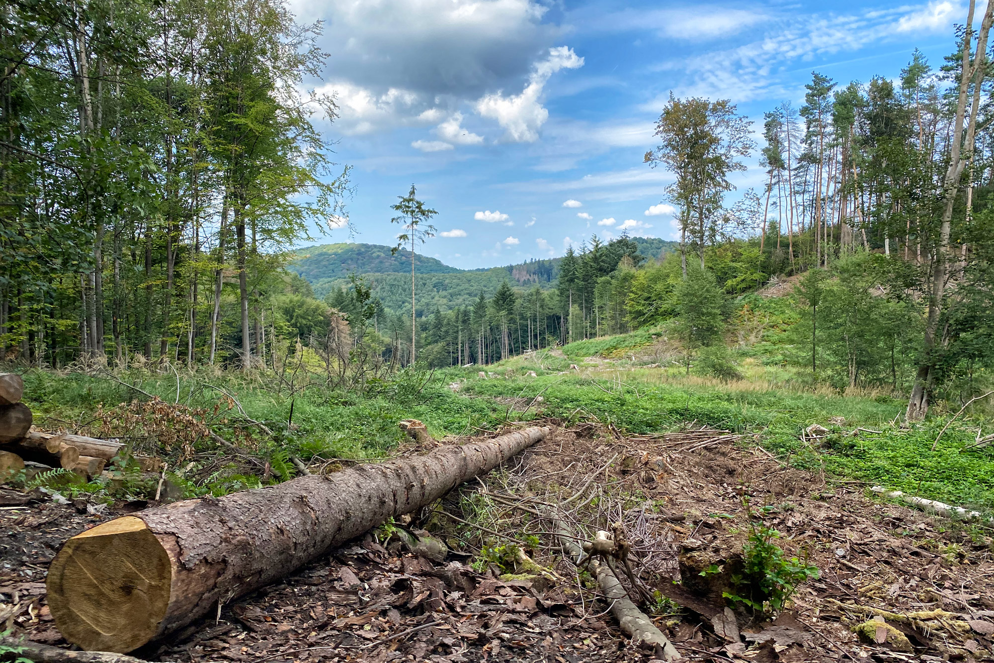 Foto van de maand: Augustus 2020 - Siebengebirge, Duitsland