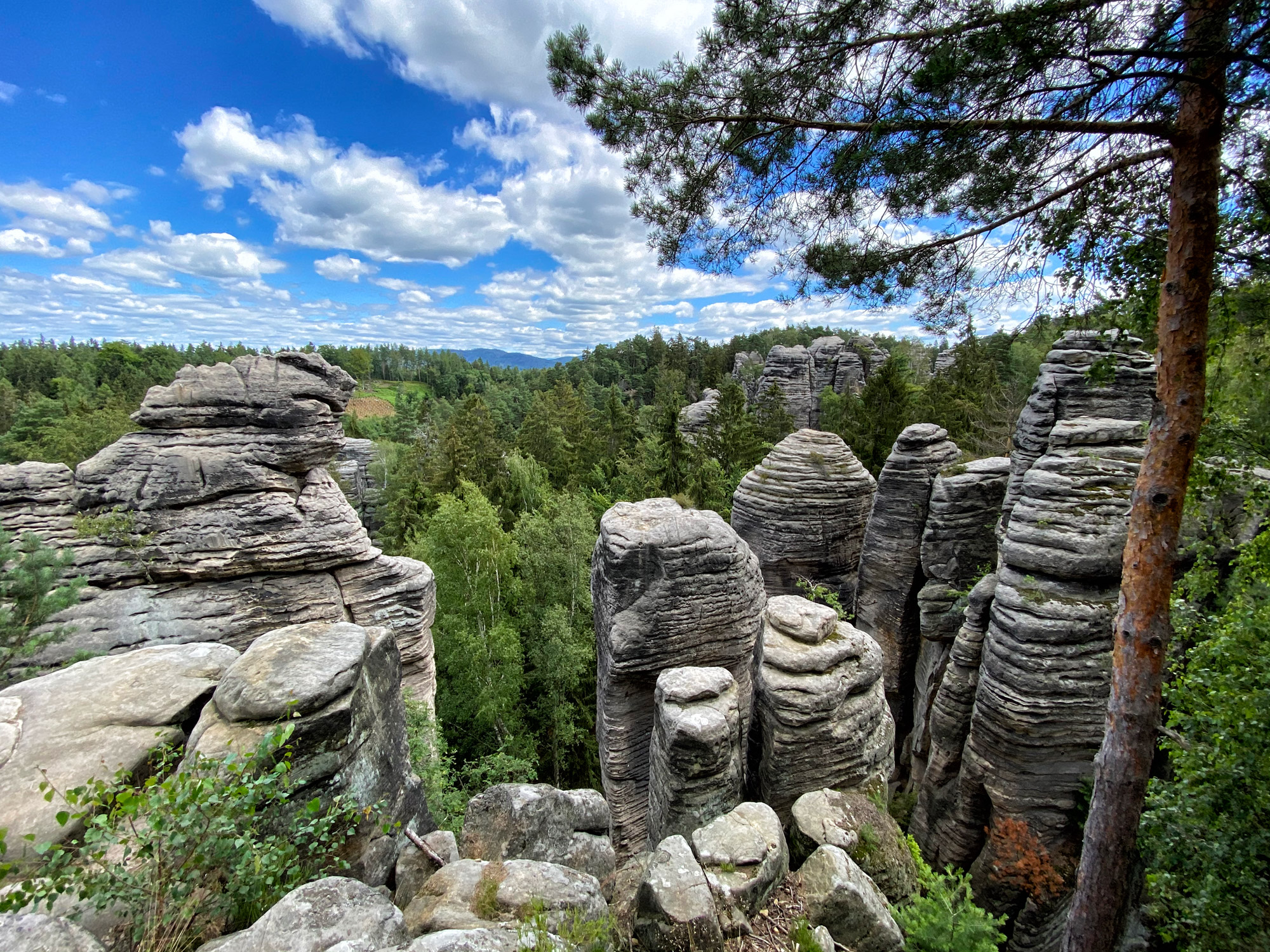 Foto van de maand: Juli 2020 - Prachovske Skaly, Tsjechië