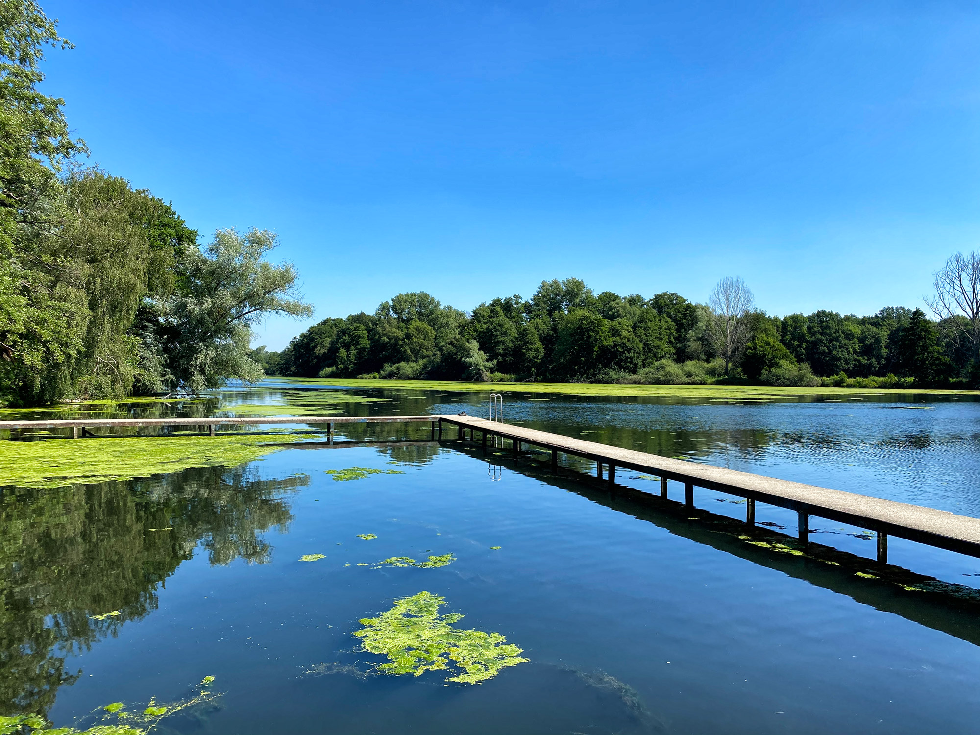 Wandeling: Rondje om de Krickenbecker Seen