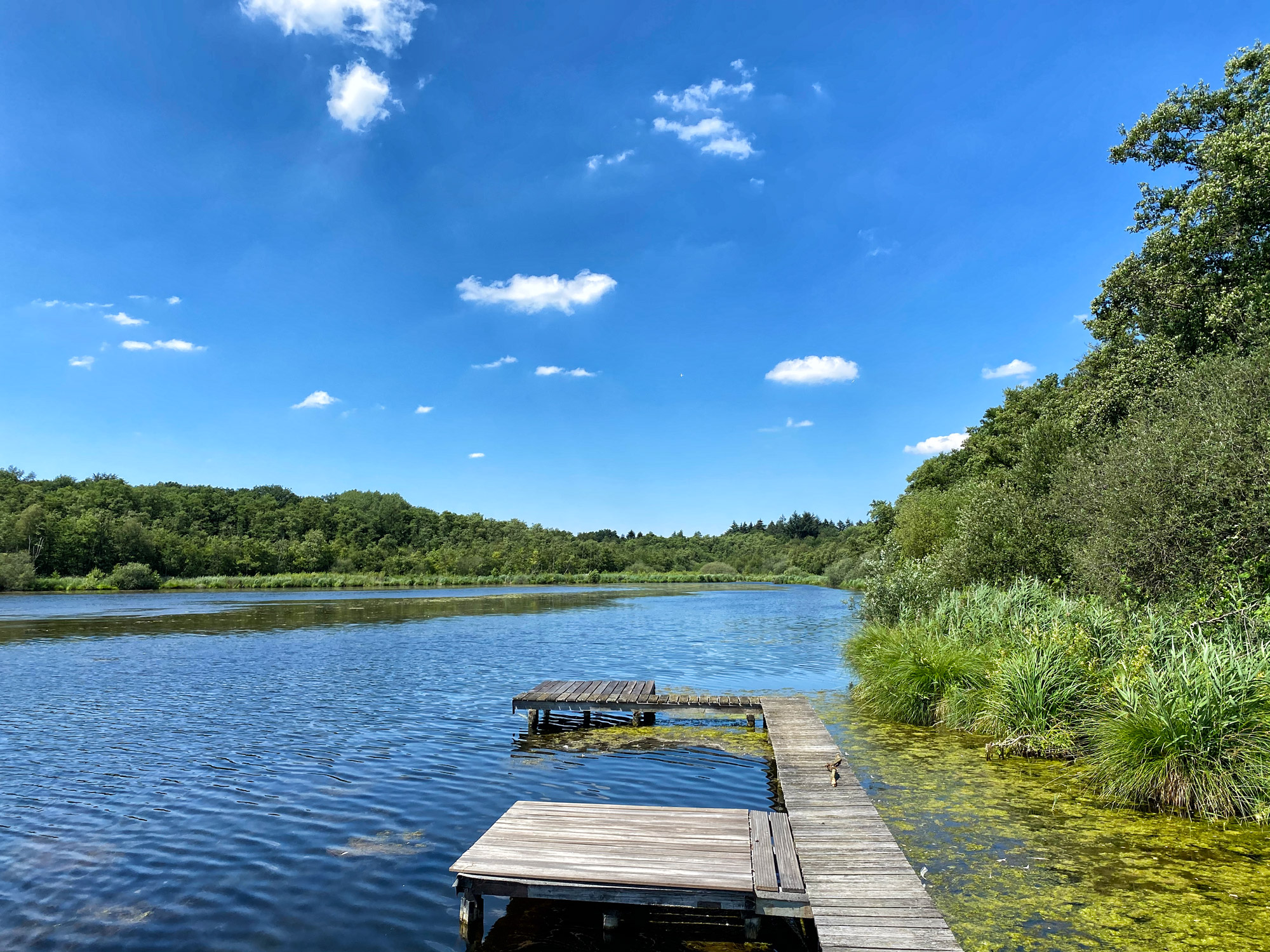 Wandeling: Rondje om de Krickenbecker Seen