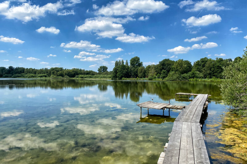 Wandeling: Rondje om de Krickenbecker Seen