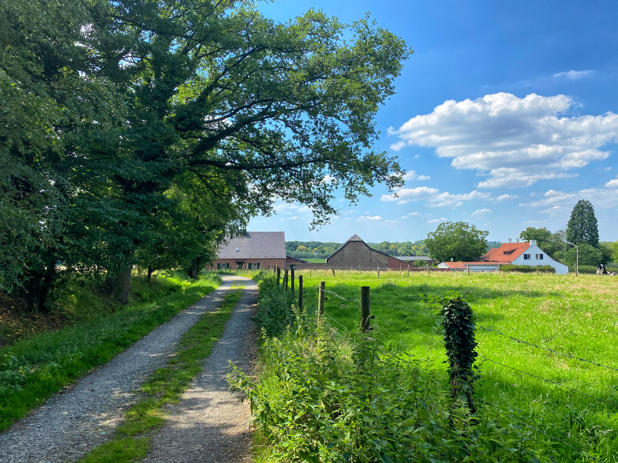 Wandeling: Rondje om de Krickenbecker Seen