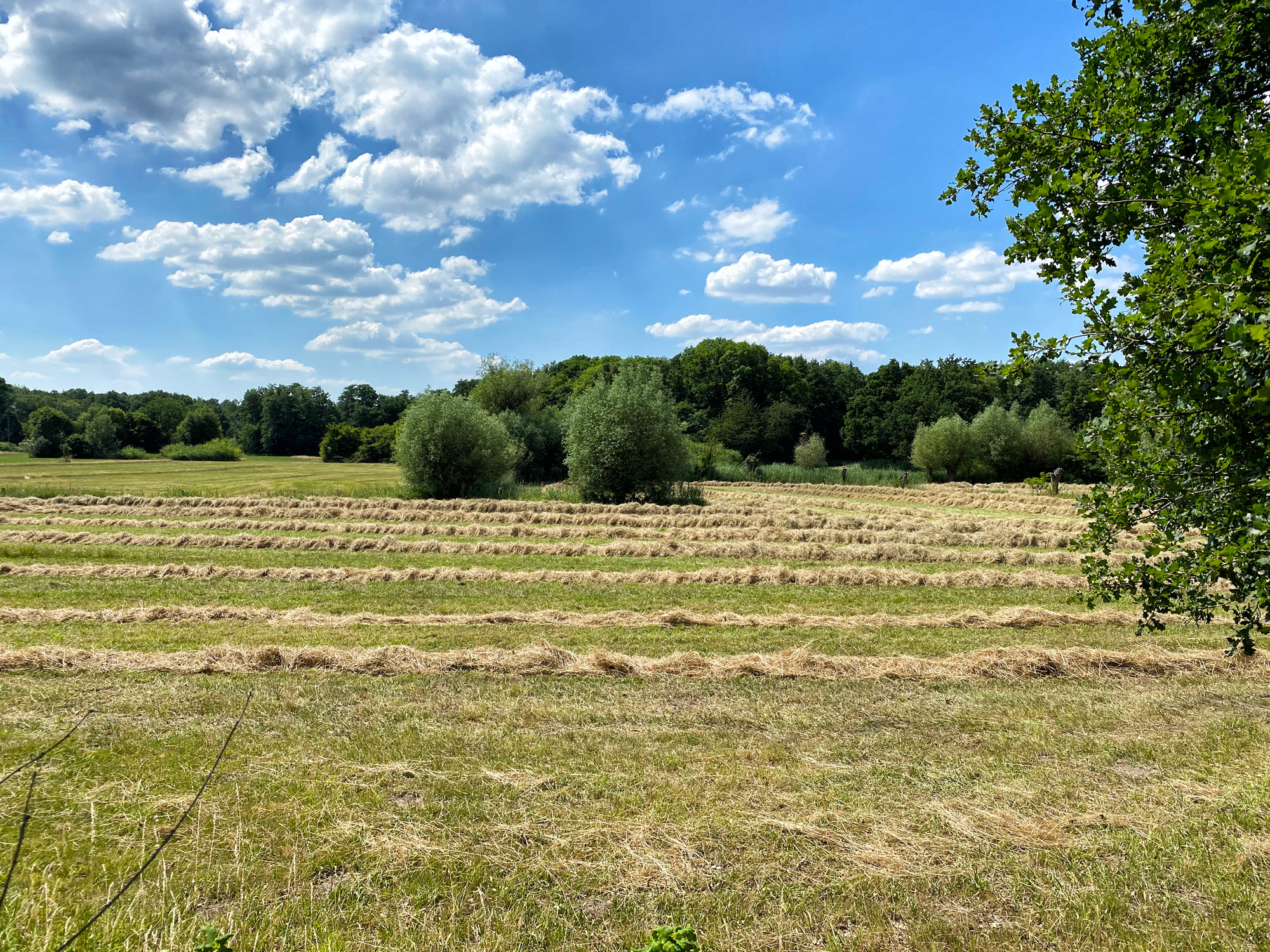 Wandeling: Rondje om de Krickenbecker Seen