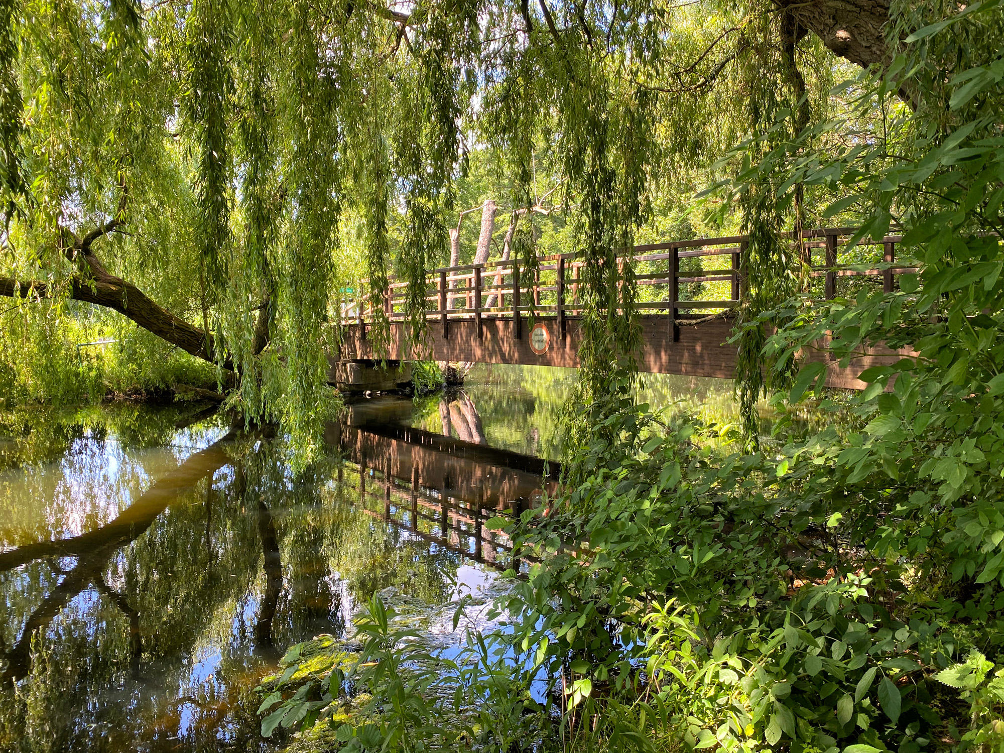 Wandeling: Rondje om de Krickenbecker Seen