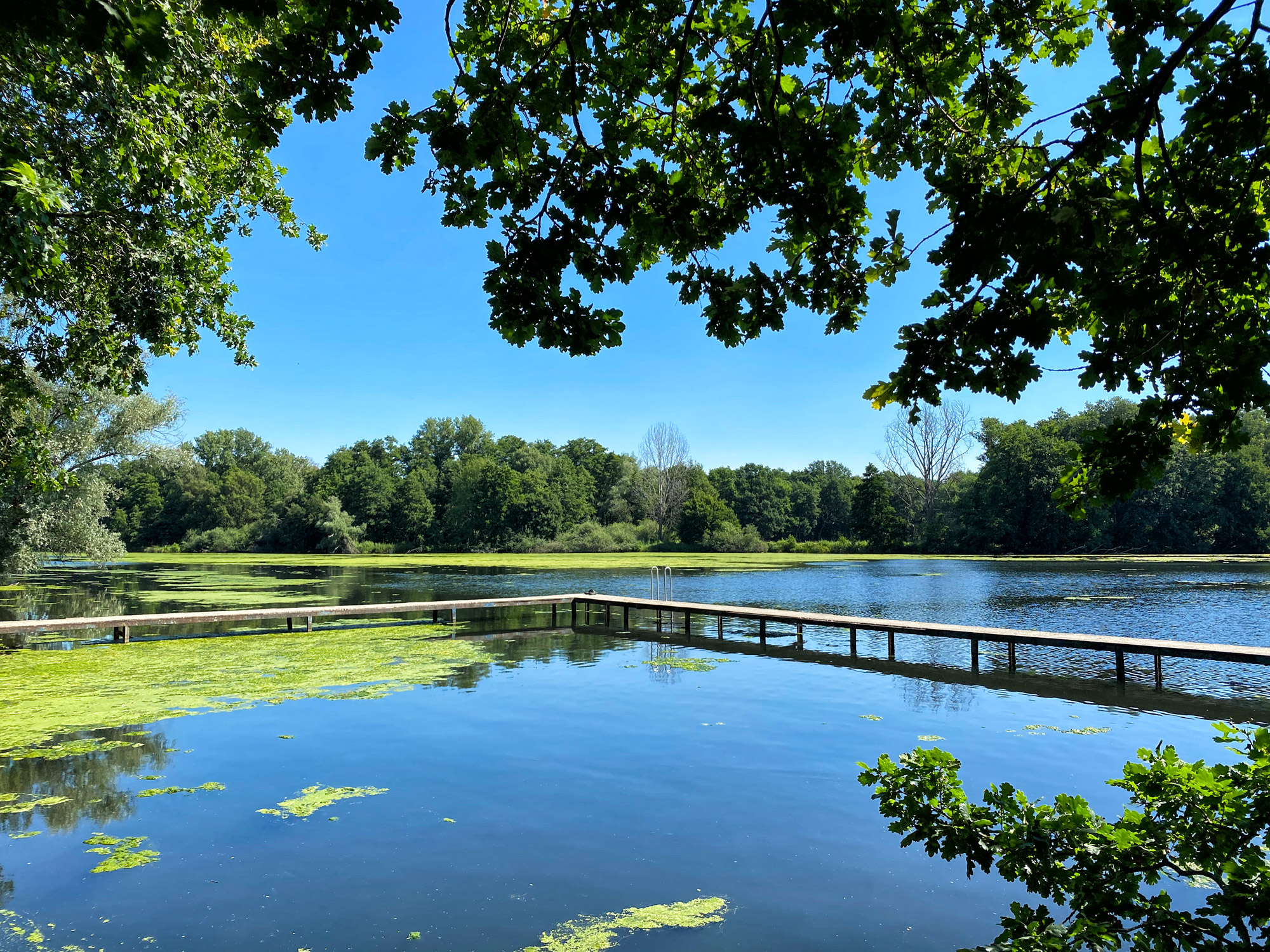 Wandeling: Rondje om de Krickenbecker Seen