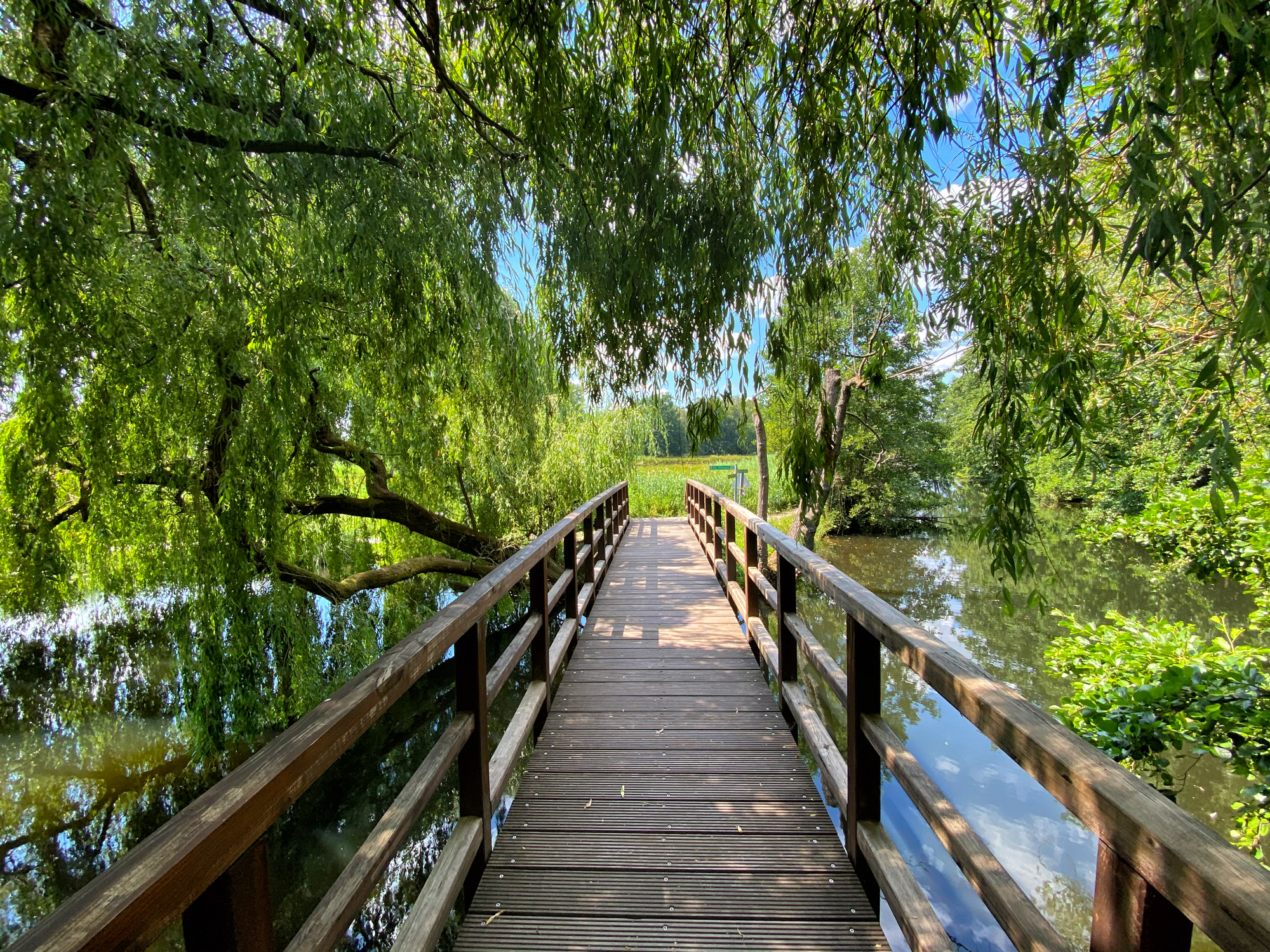 Wandeling: Rondje om de Krickenbecker Seen