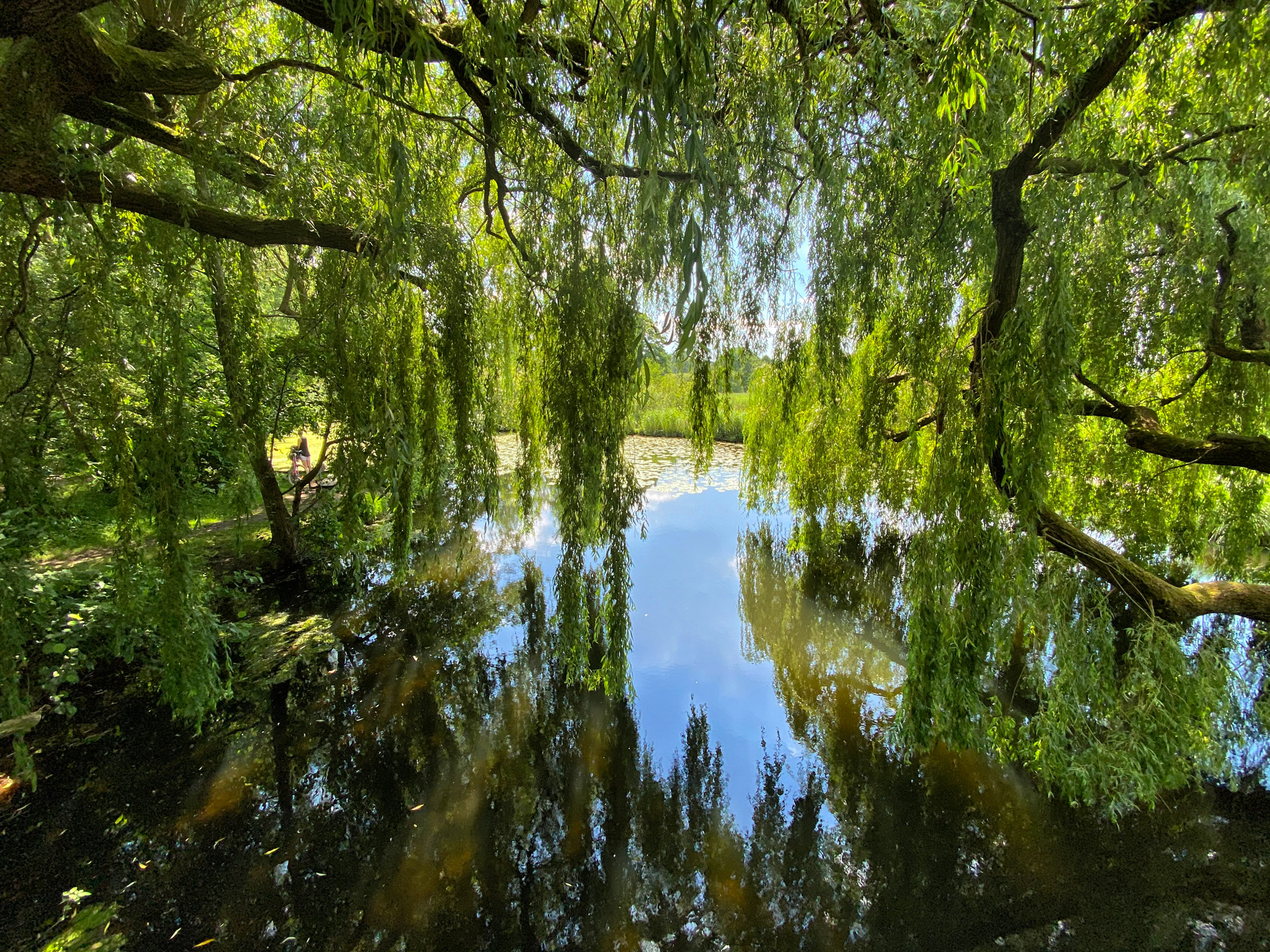 Wandeling: Rondje om de Krickenbecker Seen