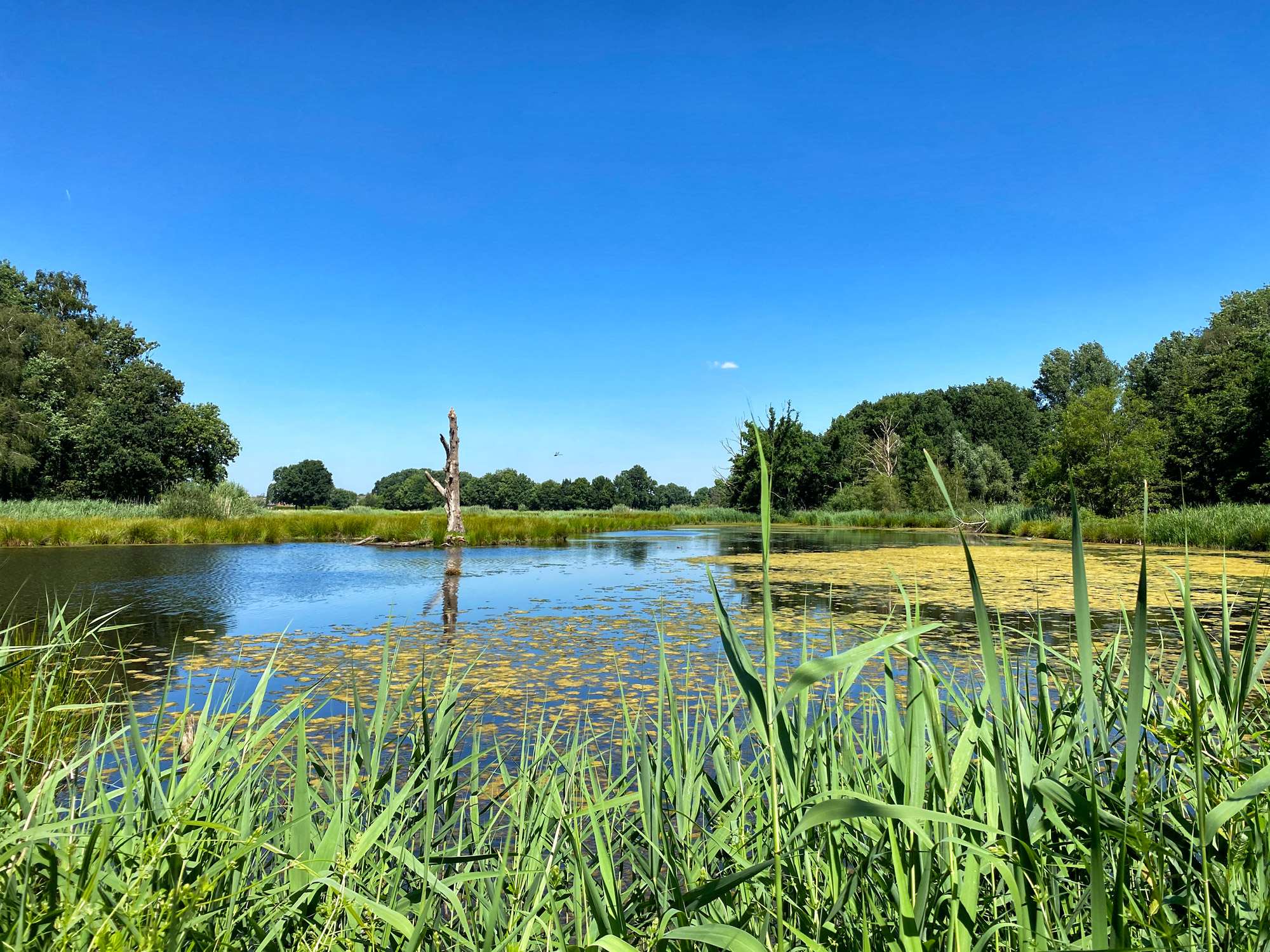 Wandeling: Rondje om de Krickenbecker Seen