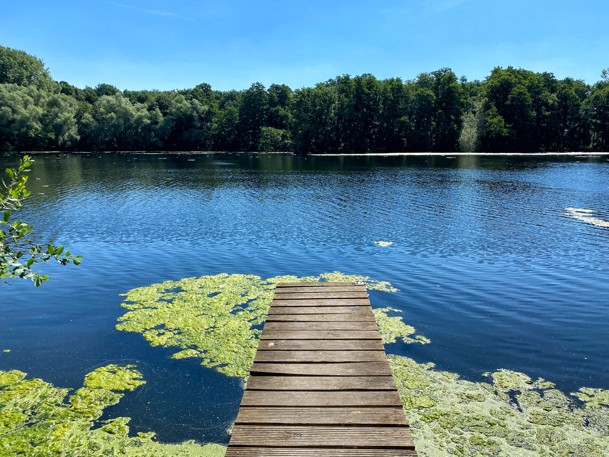 Wandeling: Rondje om de Krickenbecker Seen