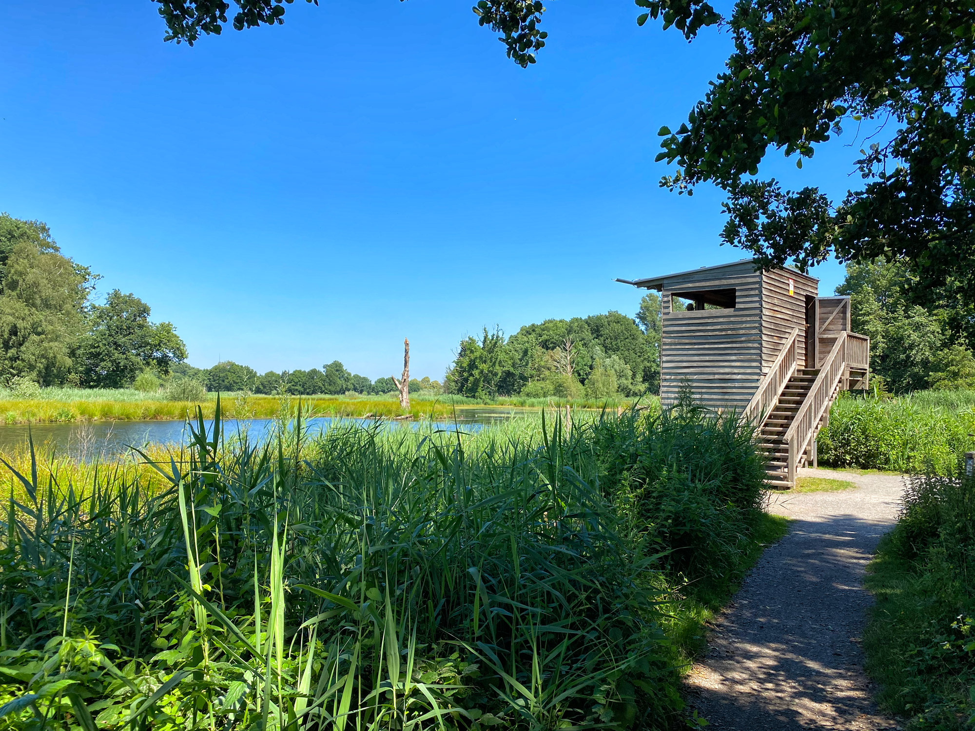 Wandeling: Rondje om de Krickenbecker Seen