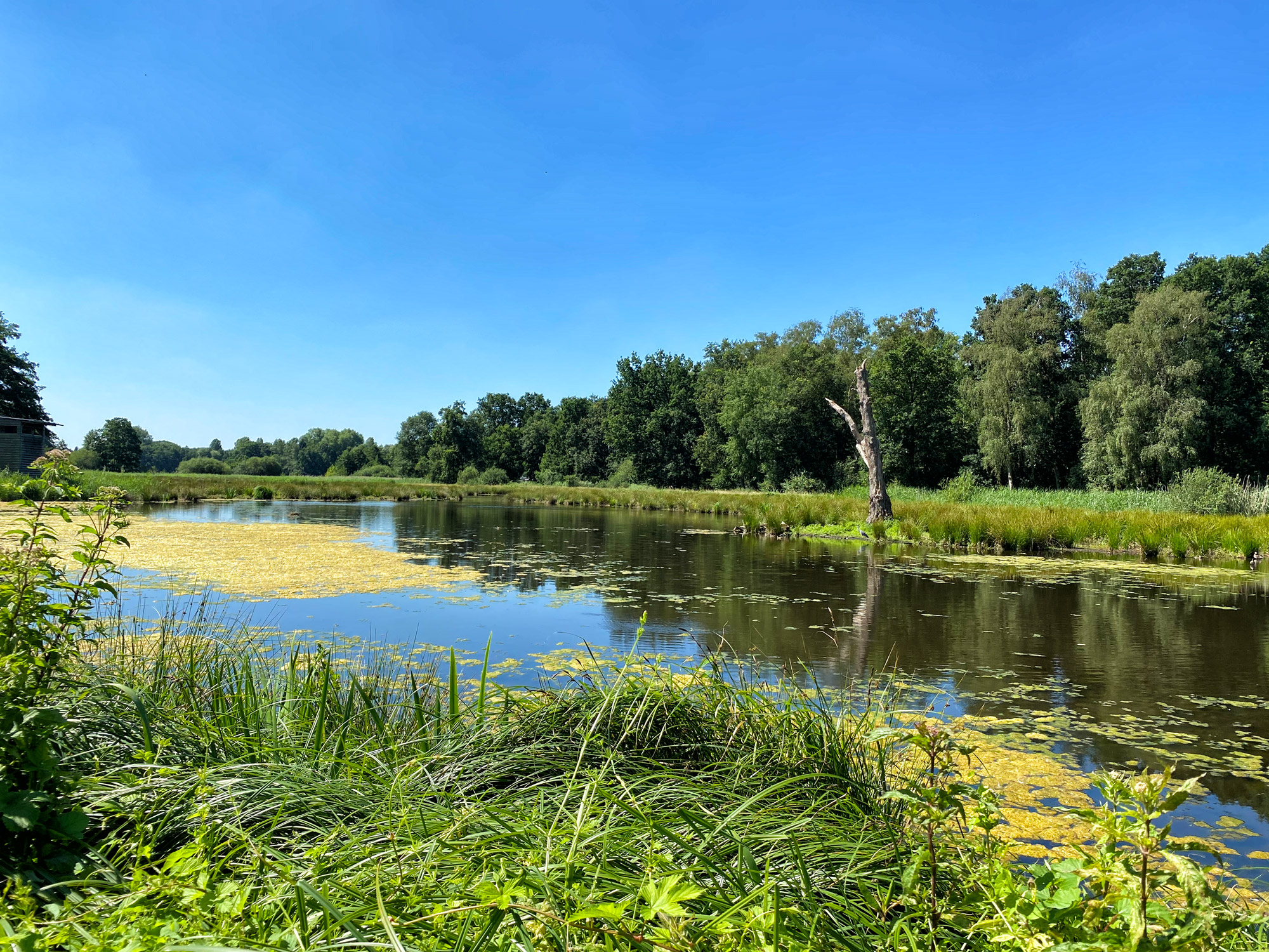 Wandeling: Rondje om de Krickenbecker Seen