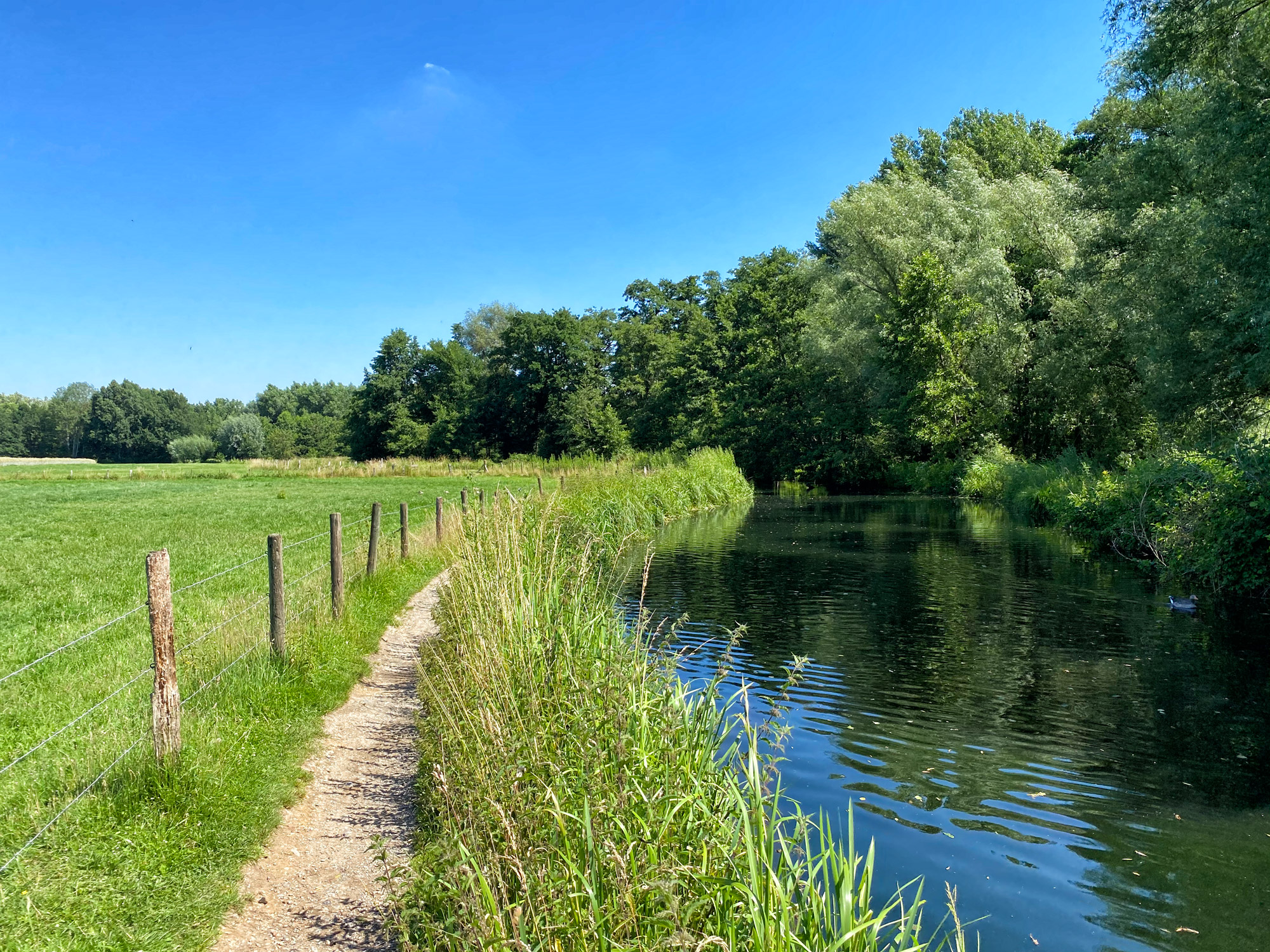 Wandeling: Rondje om de Krickenbecker Seen