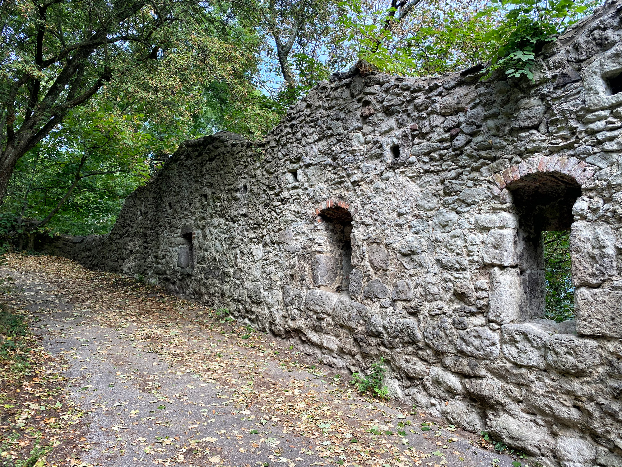 Burgruïne Drachenfels