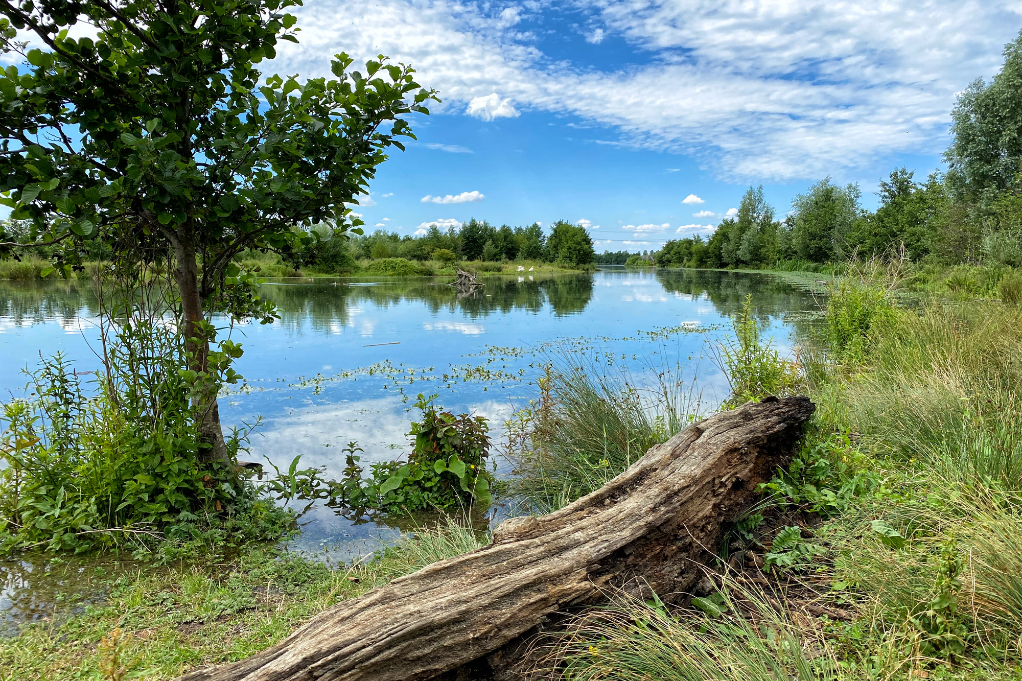 Wandelen in Limburg: Rondje om de Molenplas