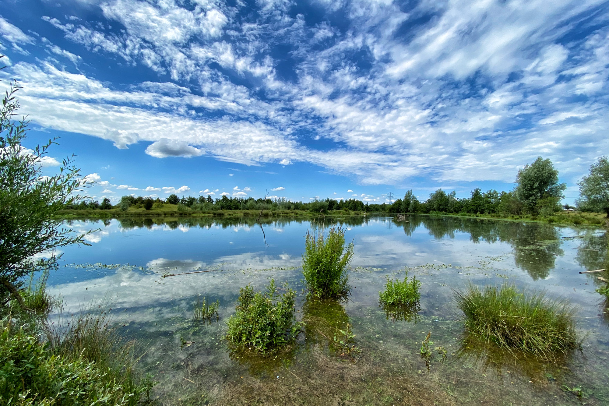 Wandelen in Limburg: Rondje om de Molenplas