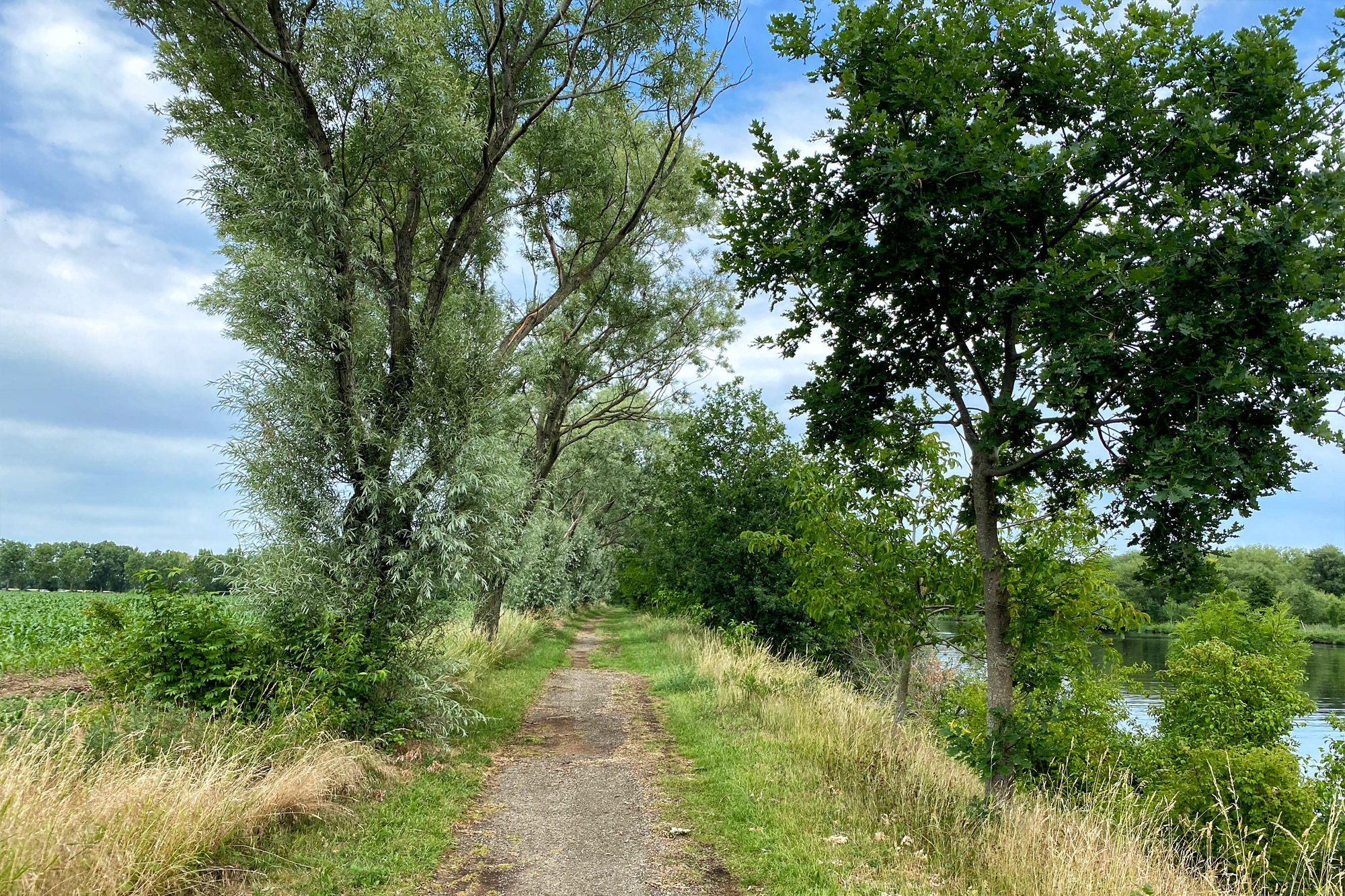 Wandelen in Limburg: Rondje om de Molenplas