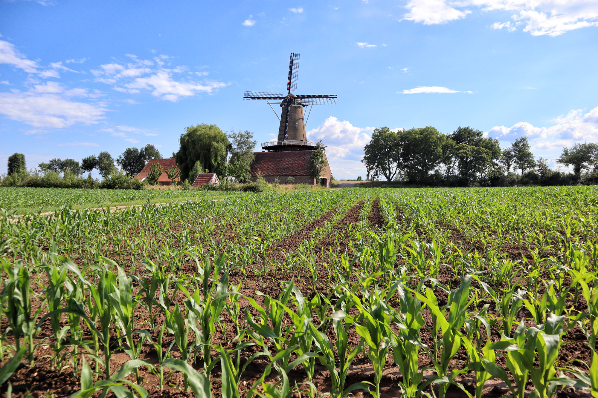 Wandelen in Limburg: Rondje om de Molenplas