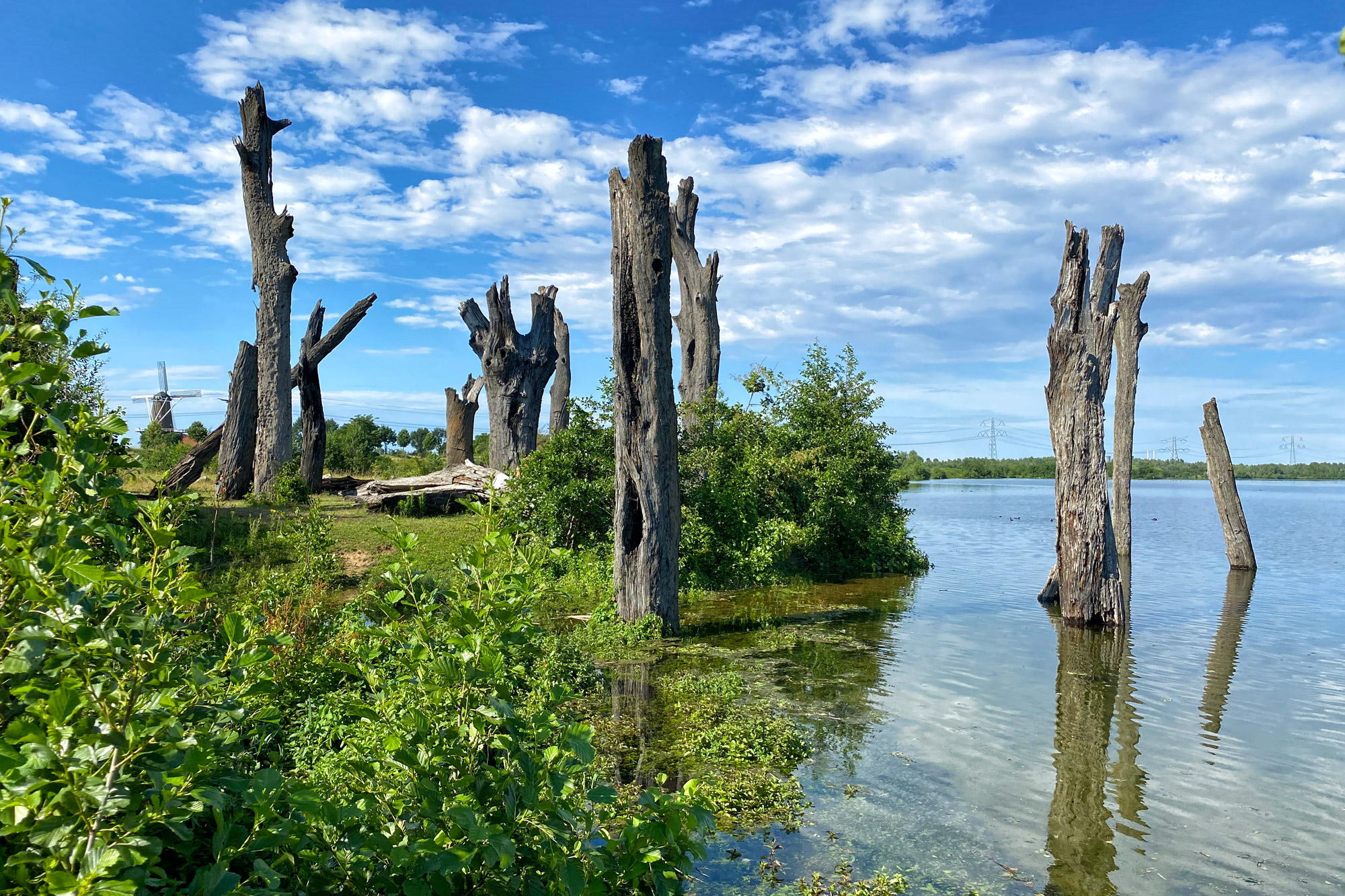 Wandelen in Limburg: Rondje om de Molenplas