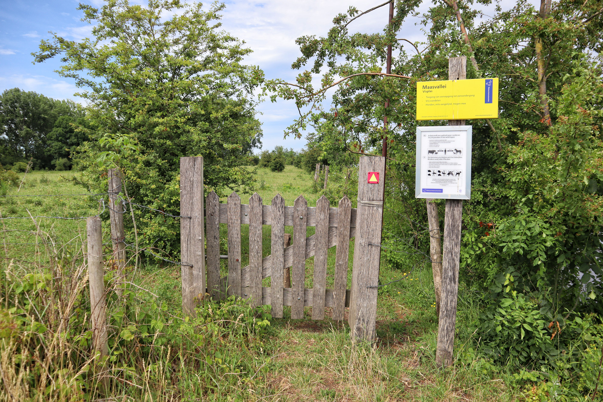 Wandelen in Limburg: Rondje om de Molenplas