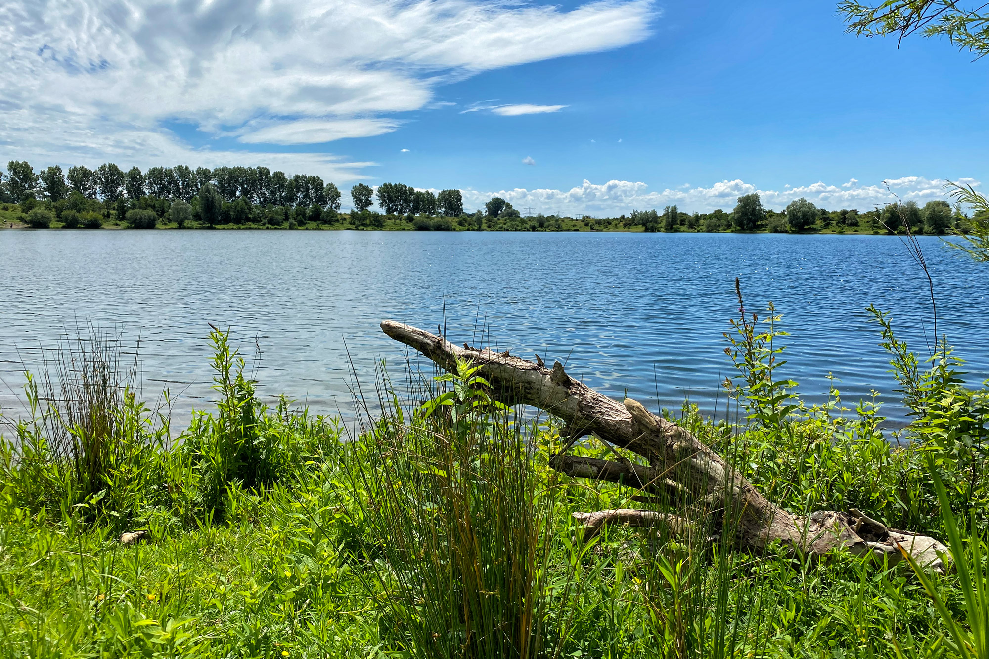 Wandelen in Limburg: Rondje om de Molenplas