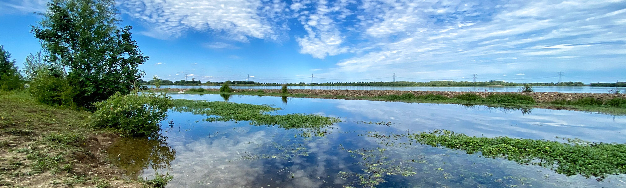 Wandelen in Limburg: Rondje om de Molenplas