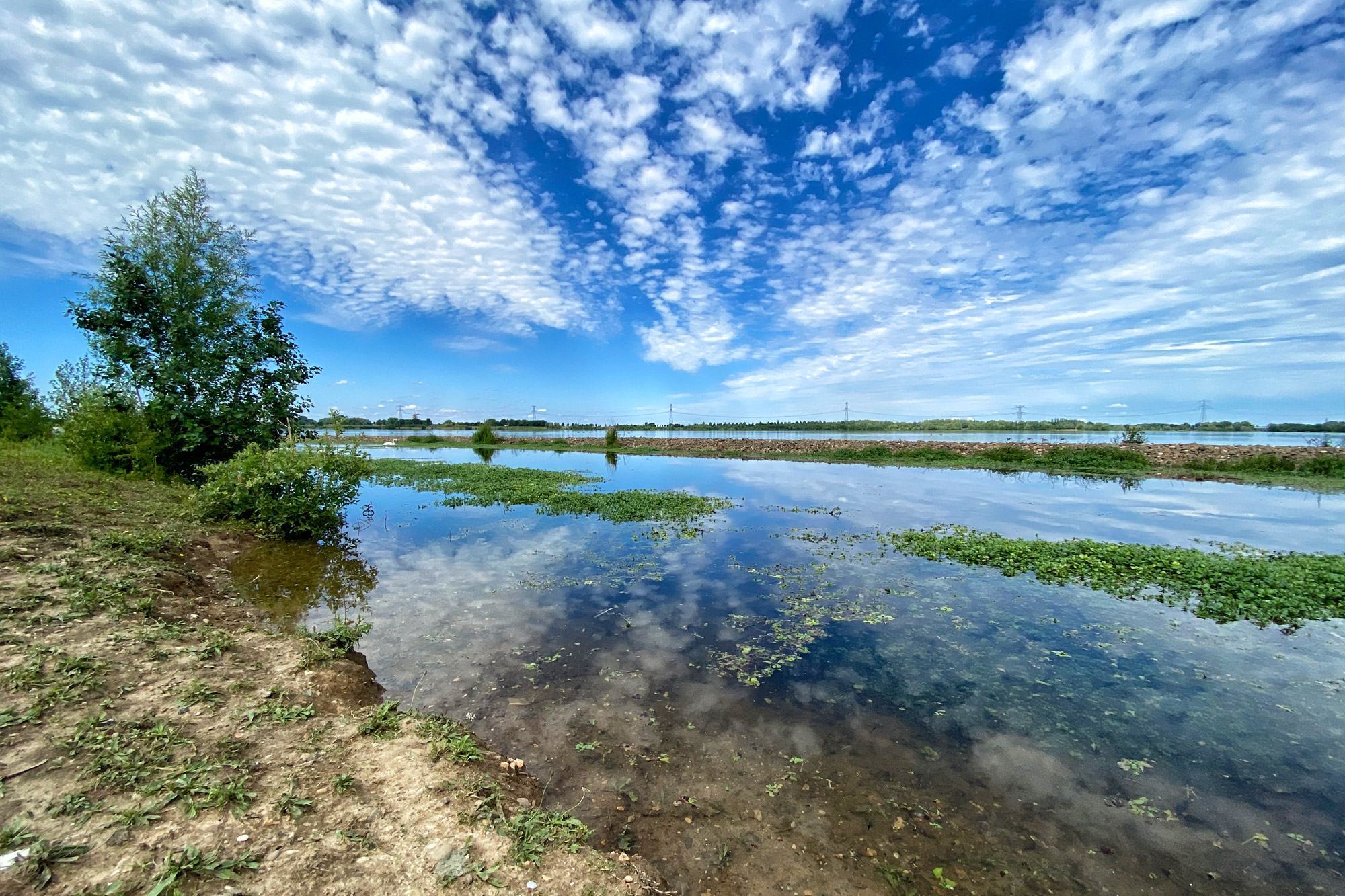 Wandelen in Limburg: Rondje om de Molenplas