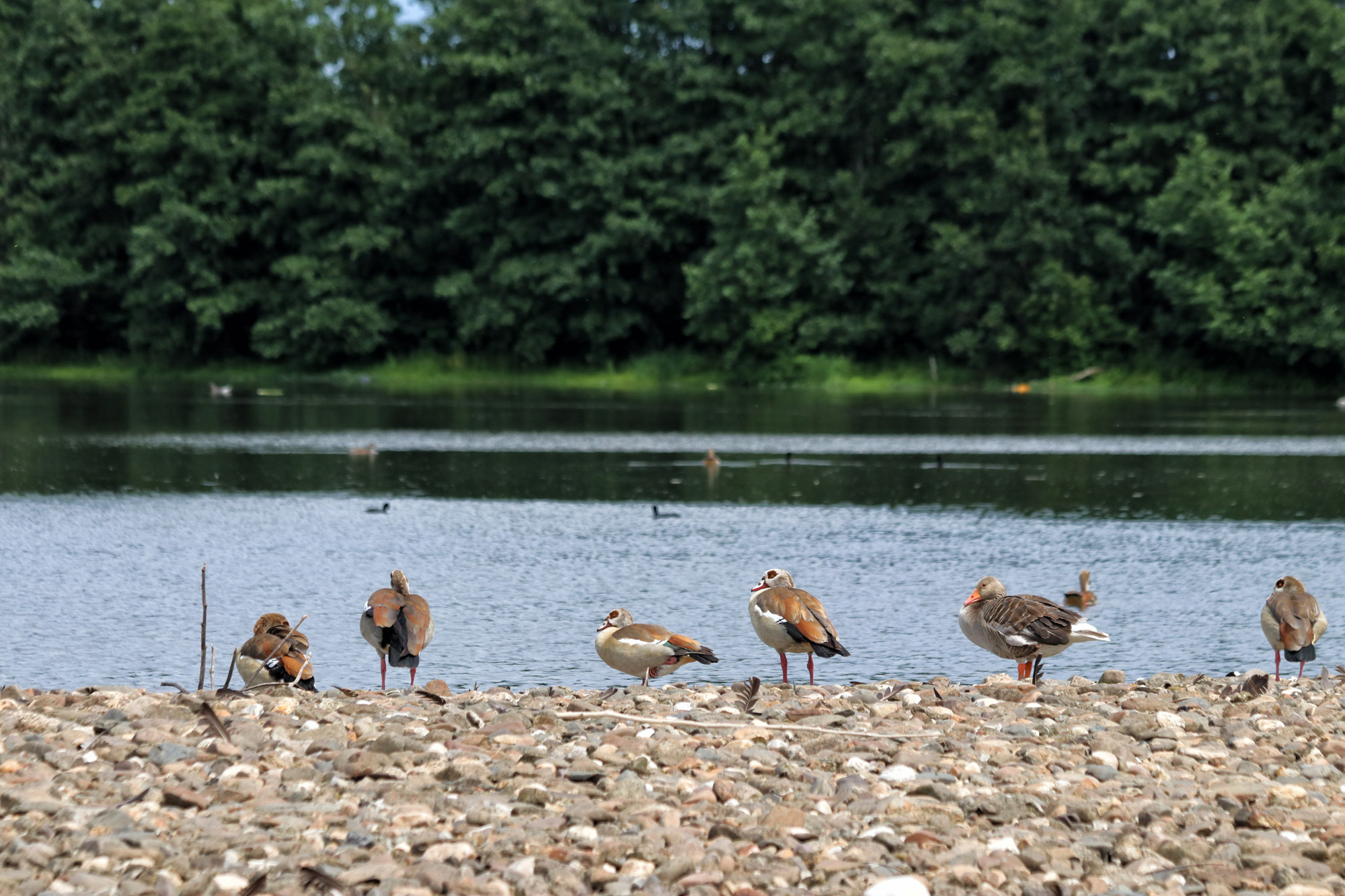 Wandelen in Limburg: Rondje om de Molenplas