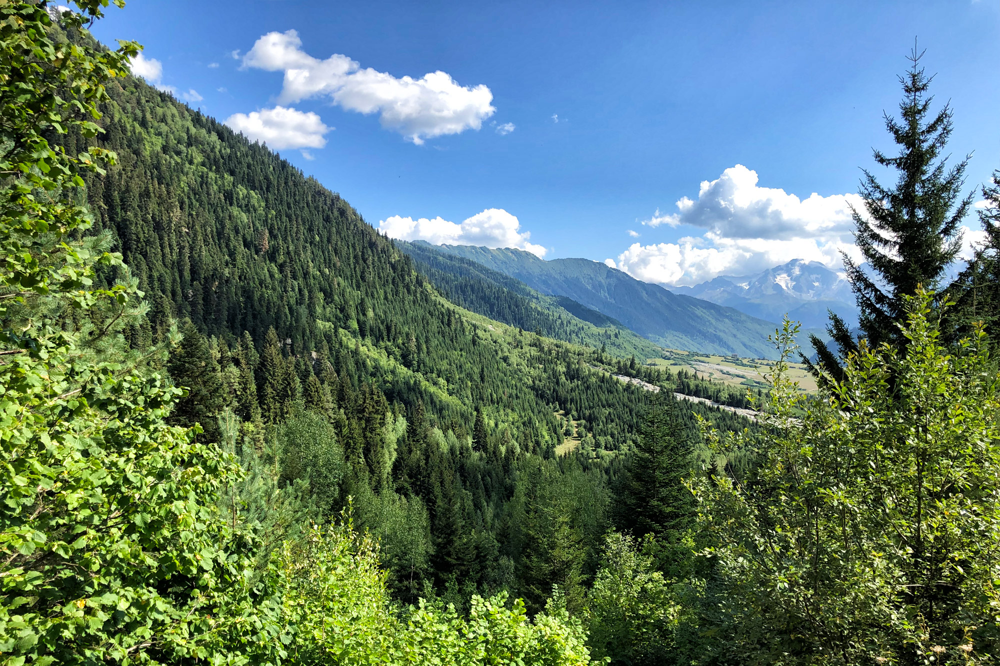 Wandeling naar de Shdugra waterval - Georgië