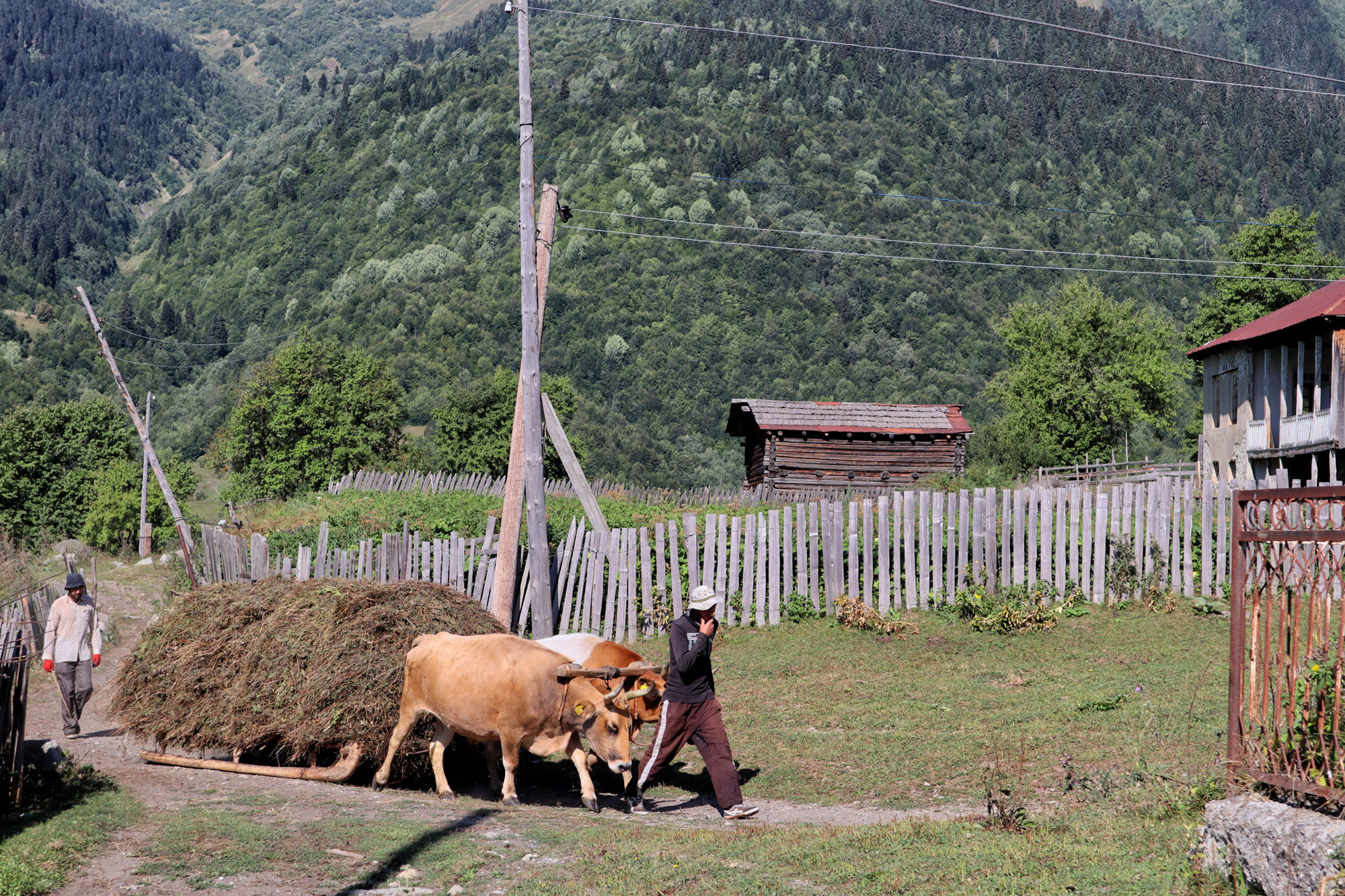 Wandeling naar de Shdugra waterval - Georgië